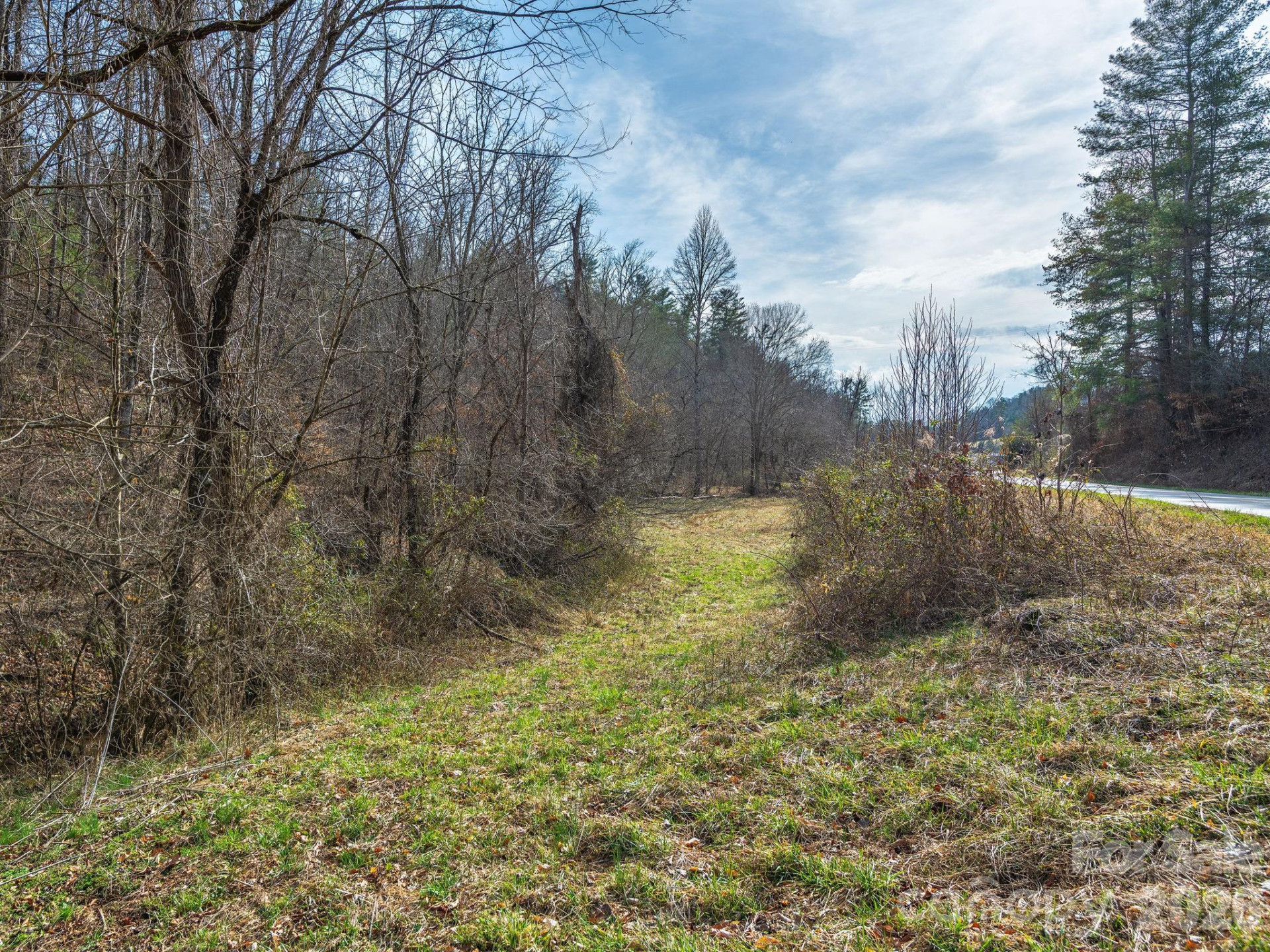 99999 Baileys Branch Road - Photo 5