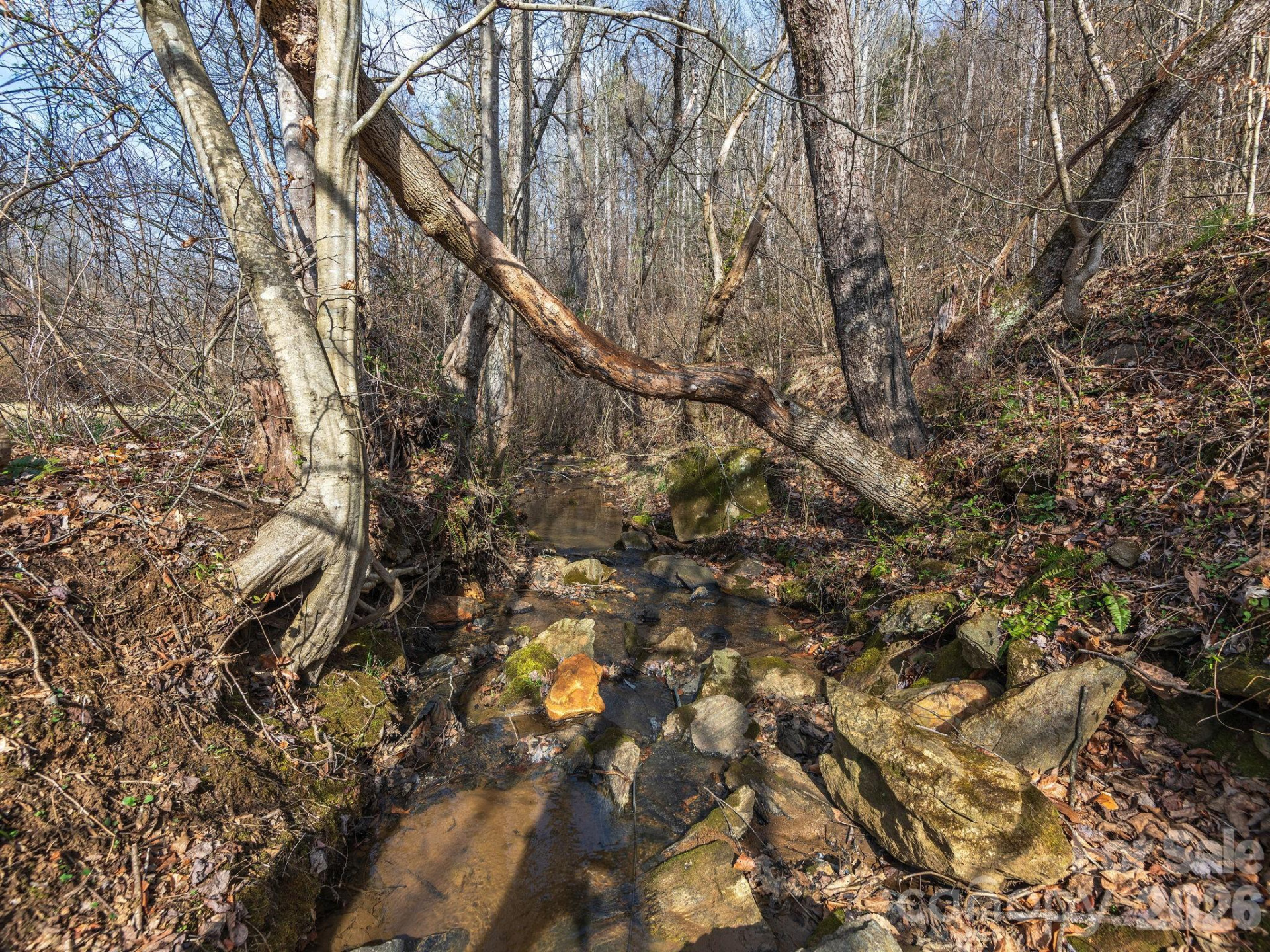 99999 Baileys Branch Road - Photo 6