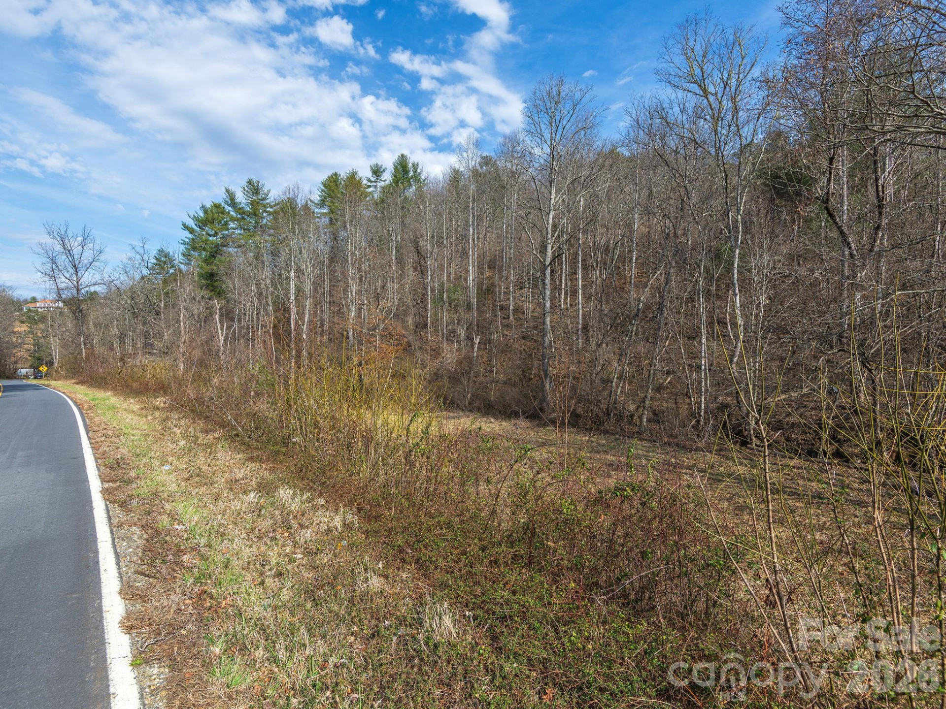 99999 Baileys Branch Road - Photo 7