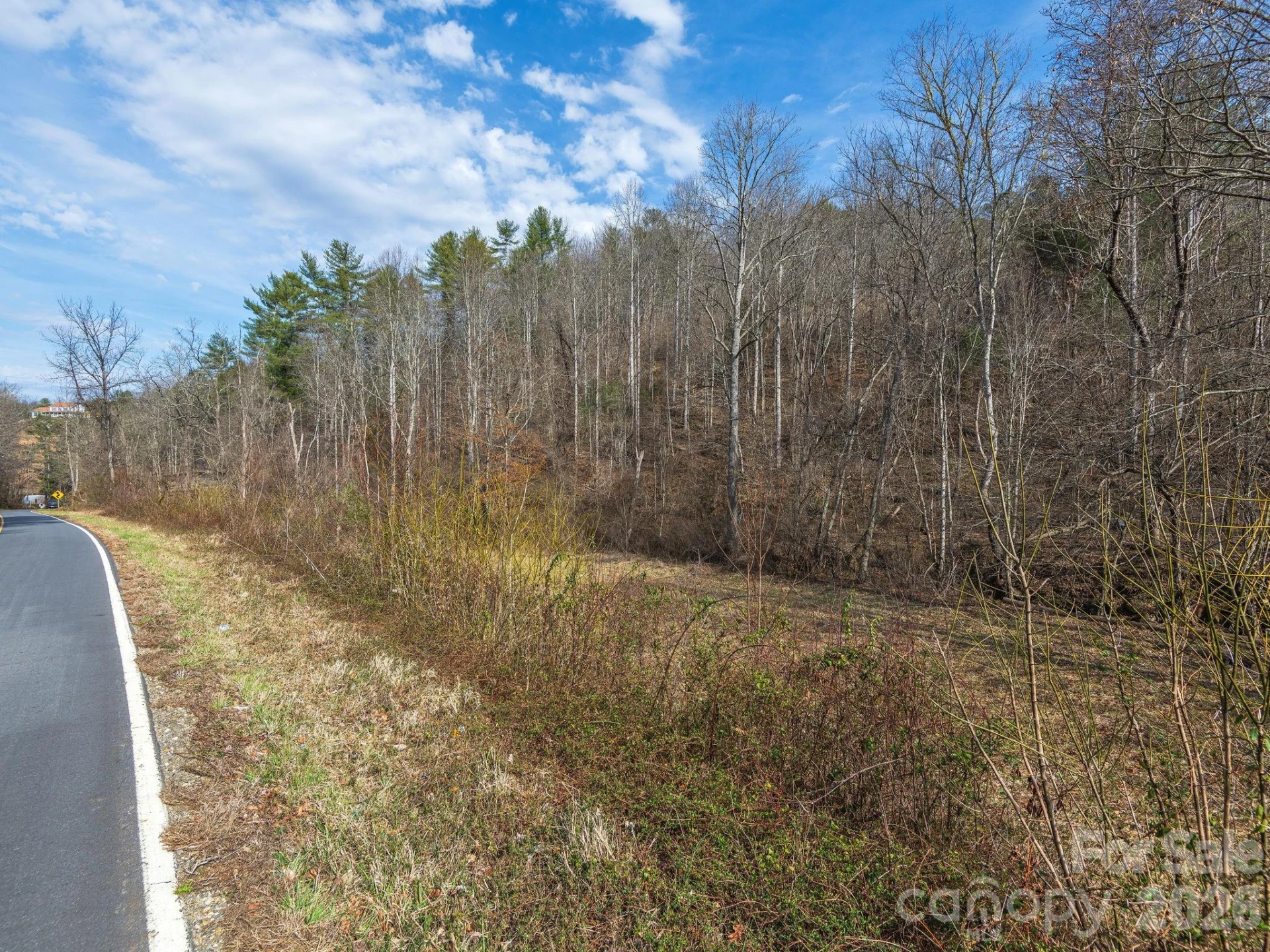 99999 Baileys Branch Road - Photo 7