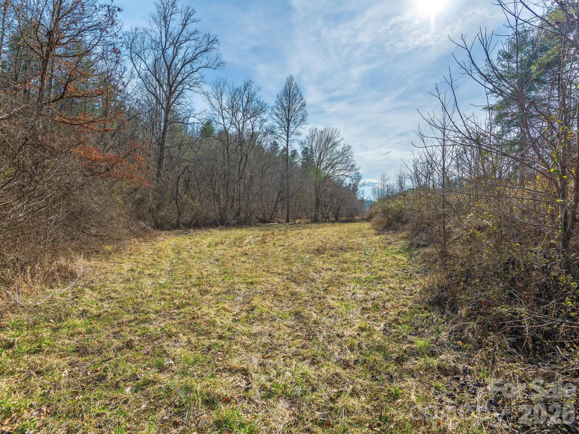 99999 Baileys Branch Road - Photo 8