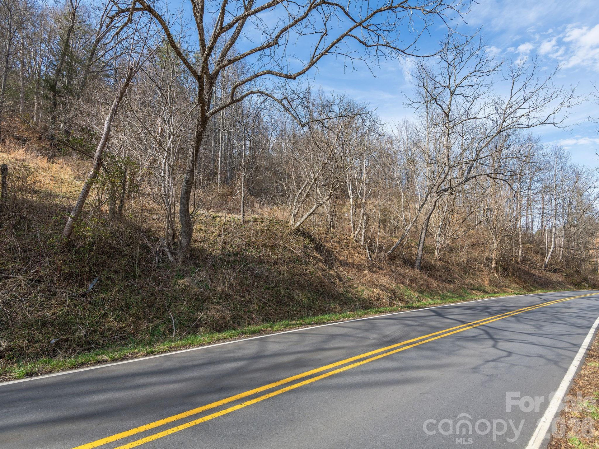 99999 Baileys Branch Road - Photo 9