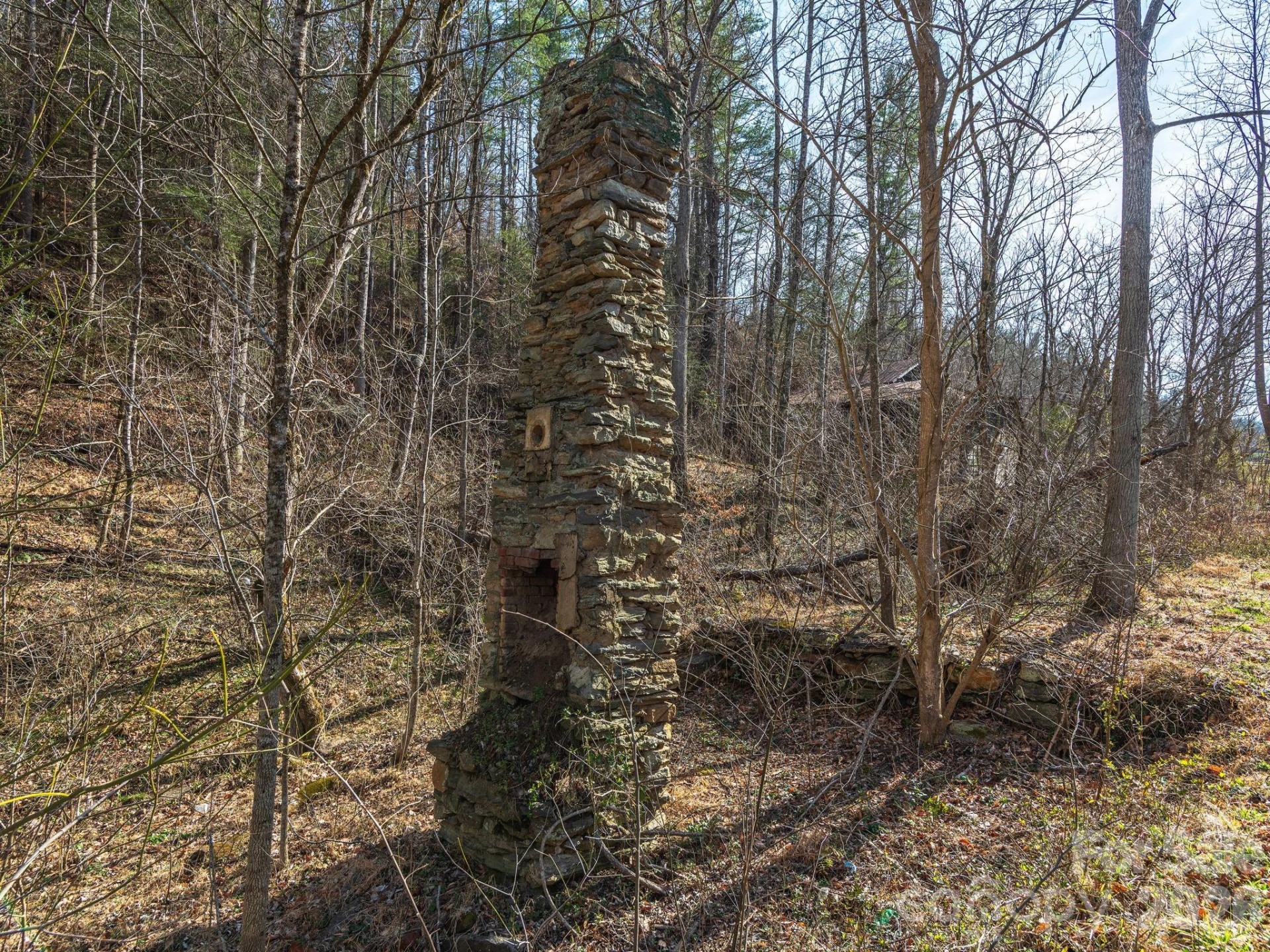 99999 Baileys Branch Road - Photo 10