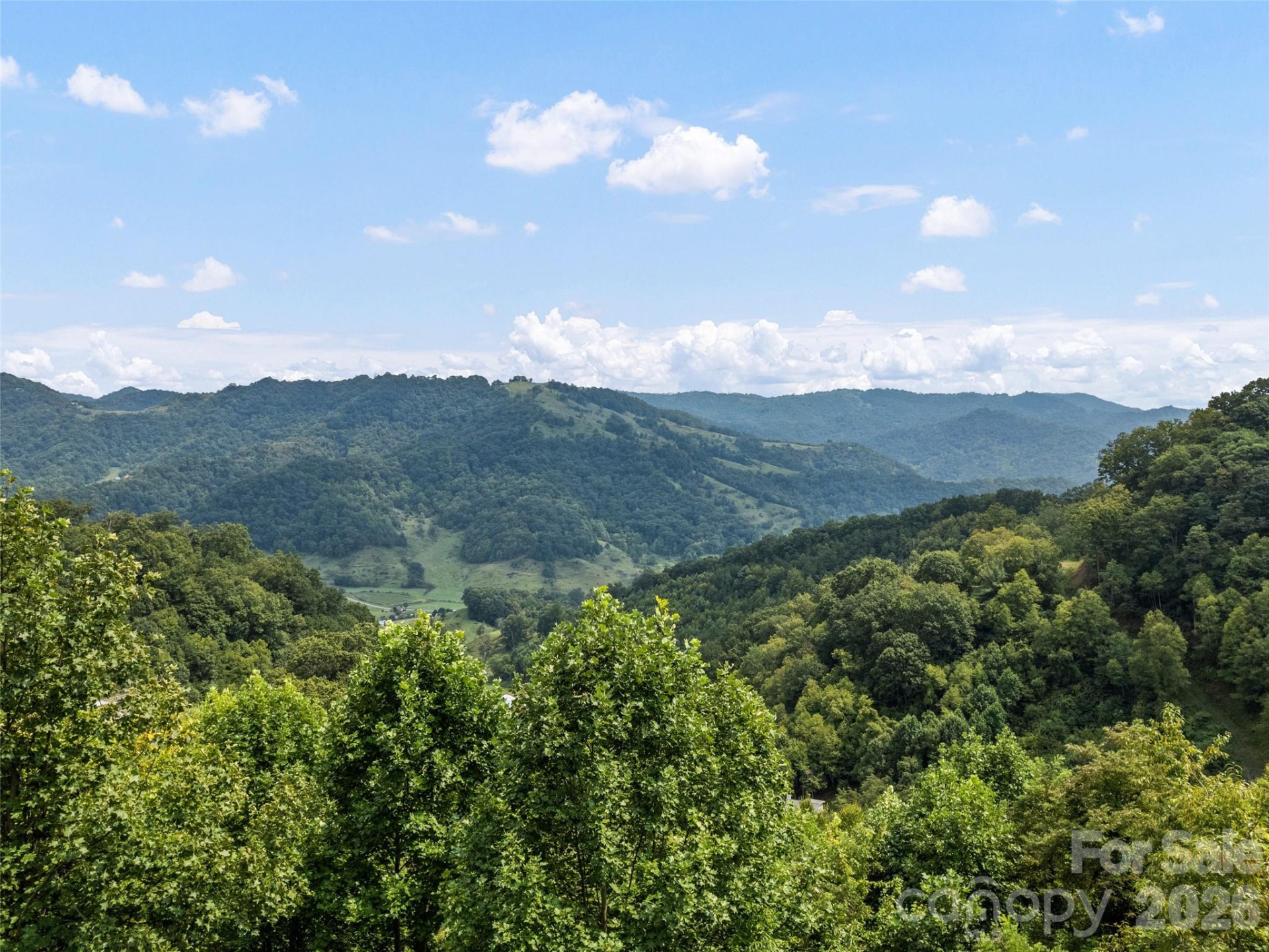 1225 Clark Road - Photo 7