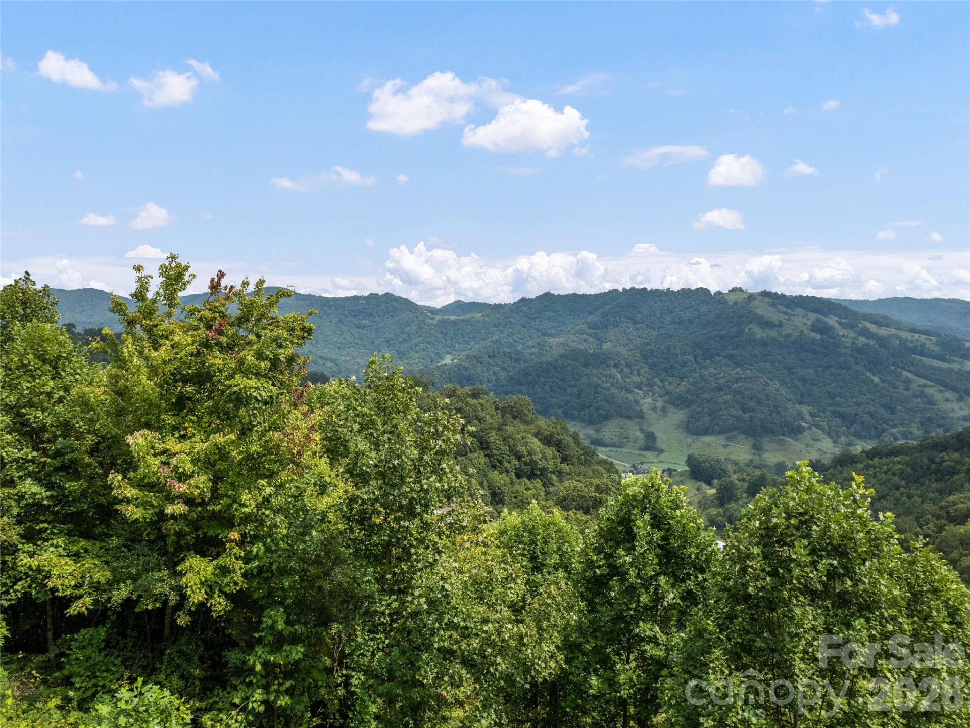 1225 Clark Road - Photo 8