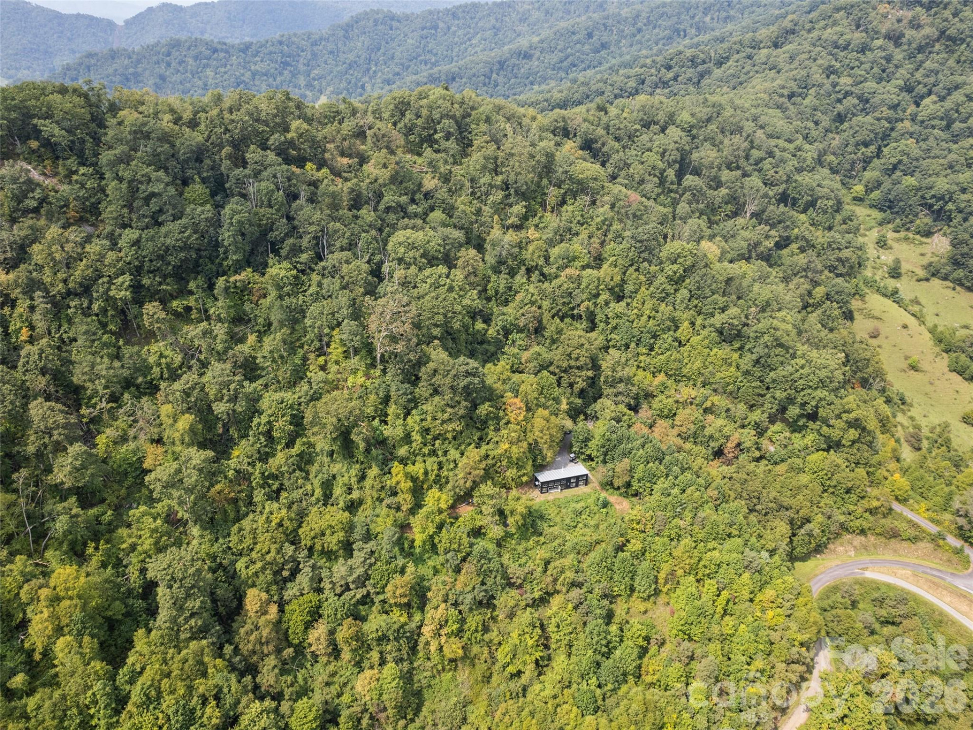 1225 Clark Road - Photo 10