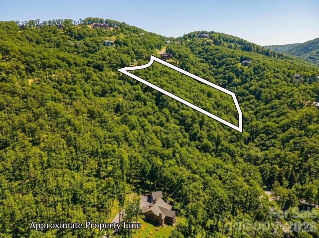 LT D54 Springwater Road, Glenville, NC, 28736