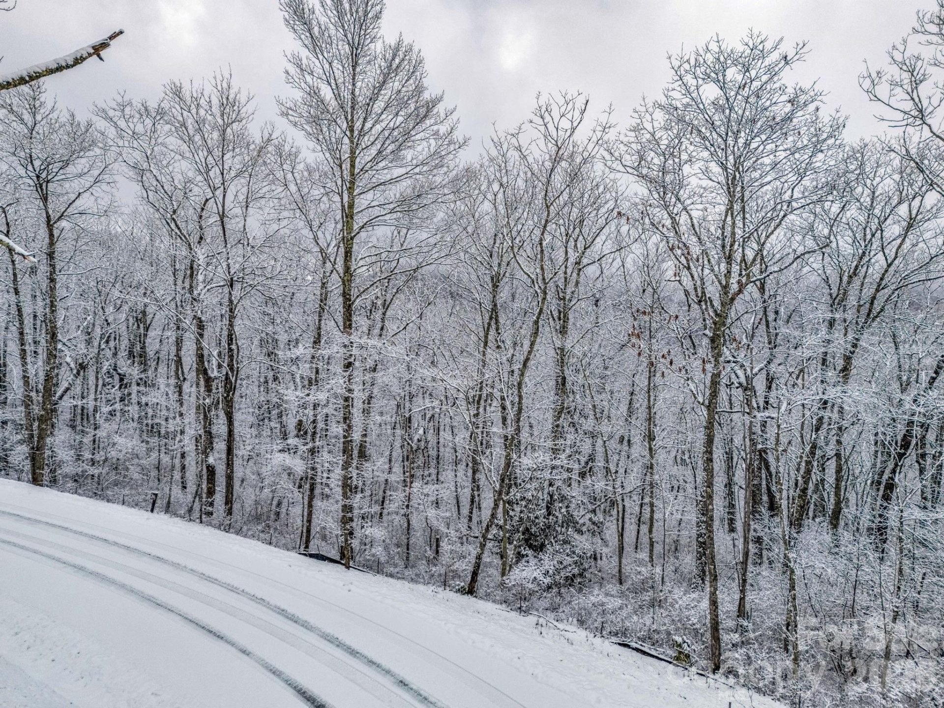 LT D54 Springwater Road #D54 - Photo 14