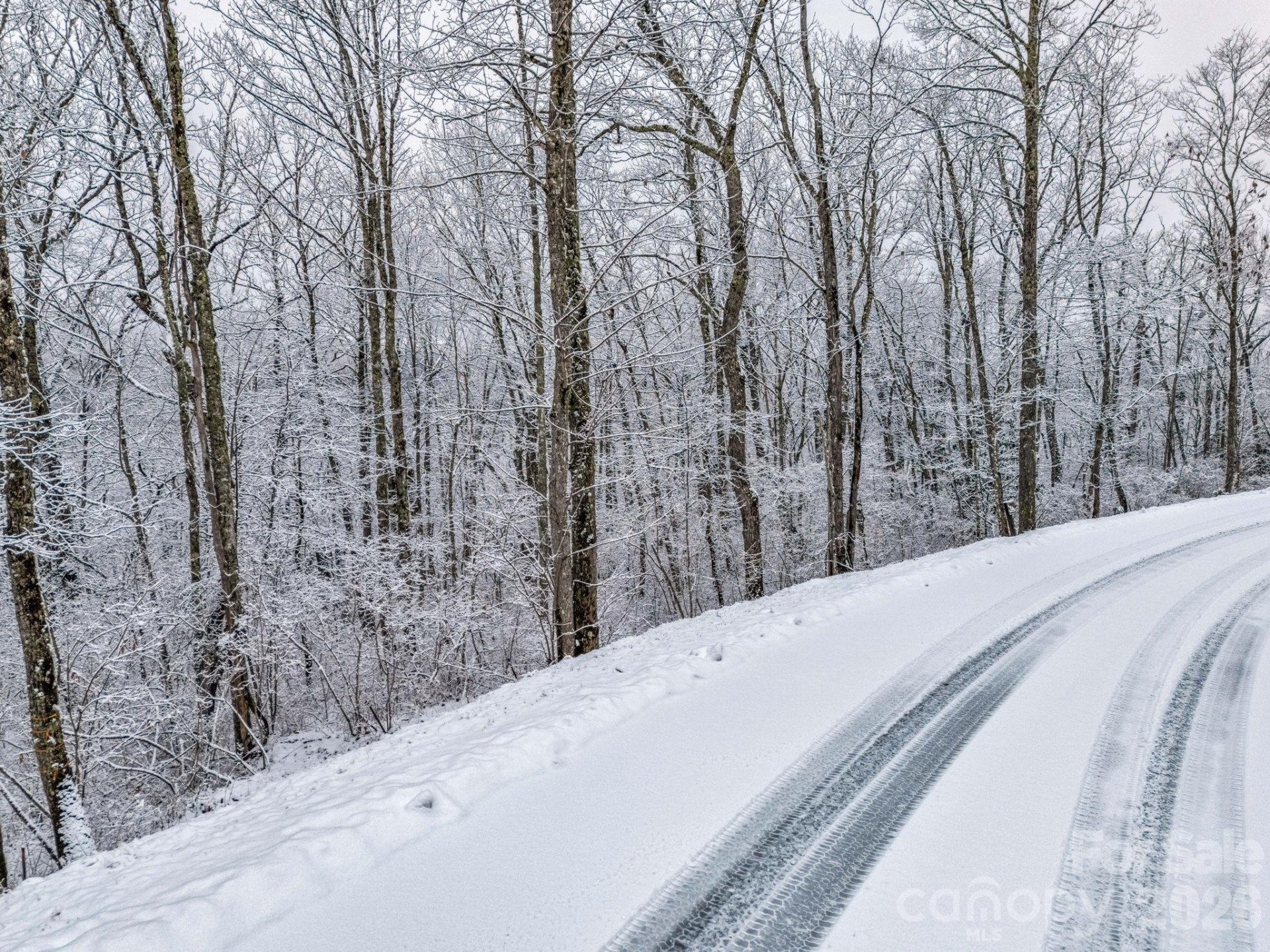 LT D54 Springwater Road #D54 - Photo 15