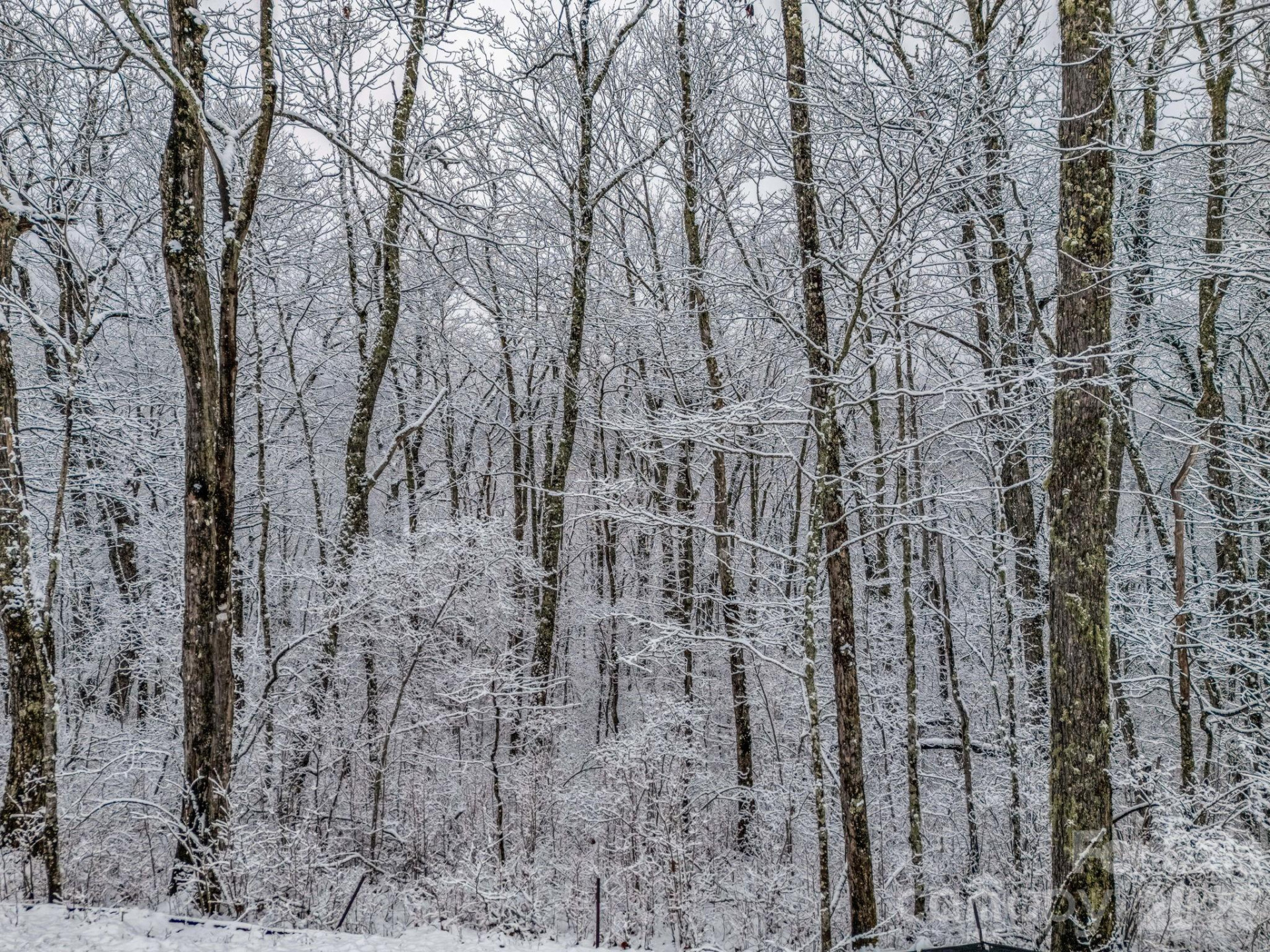 LT D54 Springwater Road #D54 - Photo 16