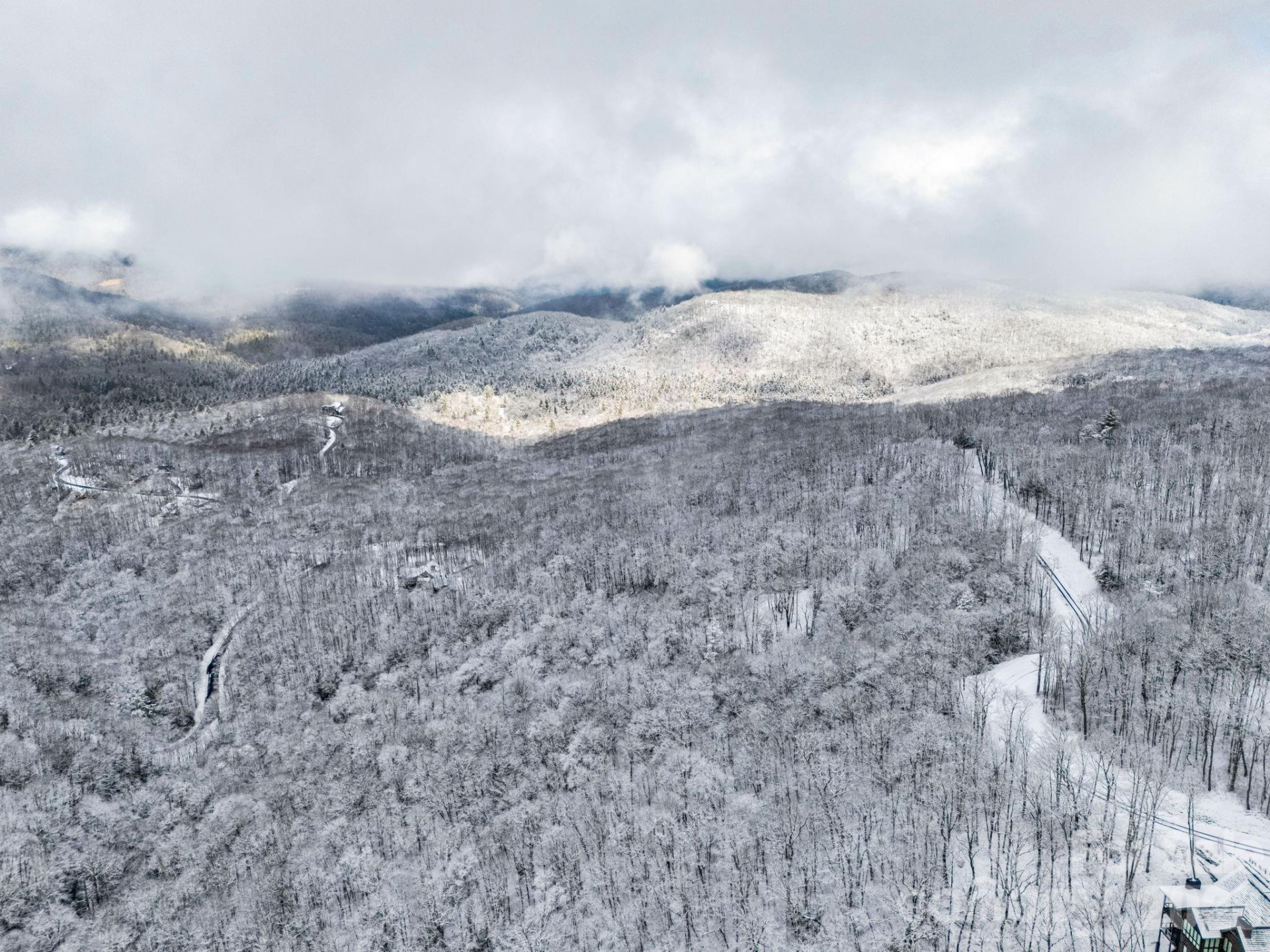 LT D54 Springwater Road #D54 - Photo 17