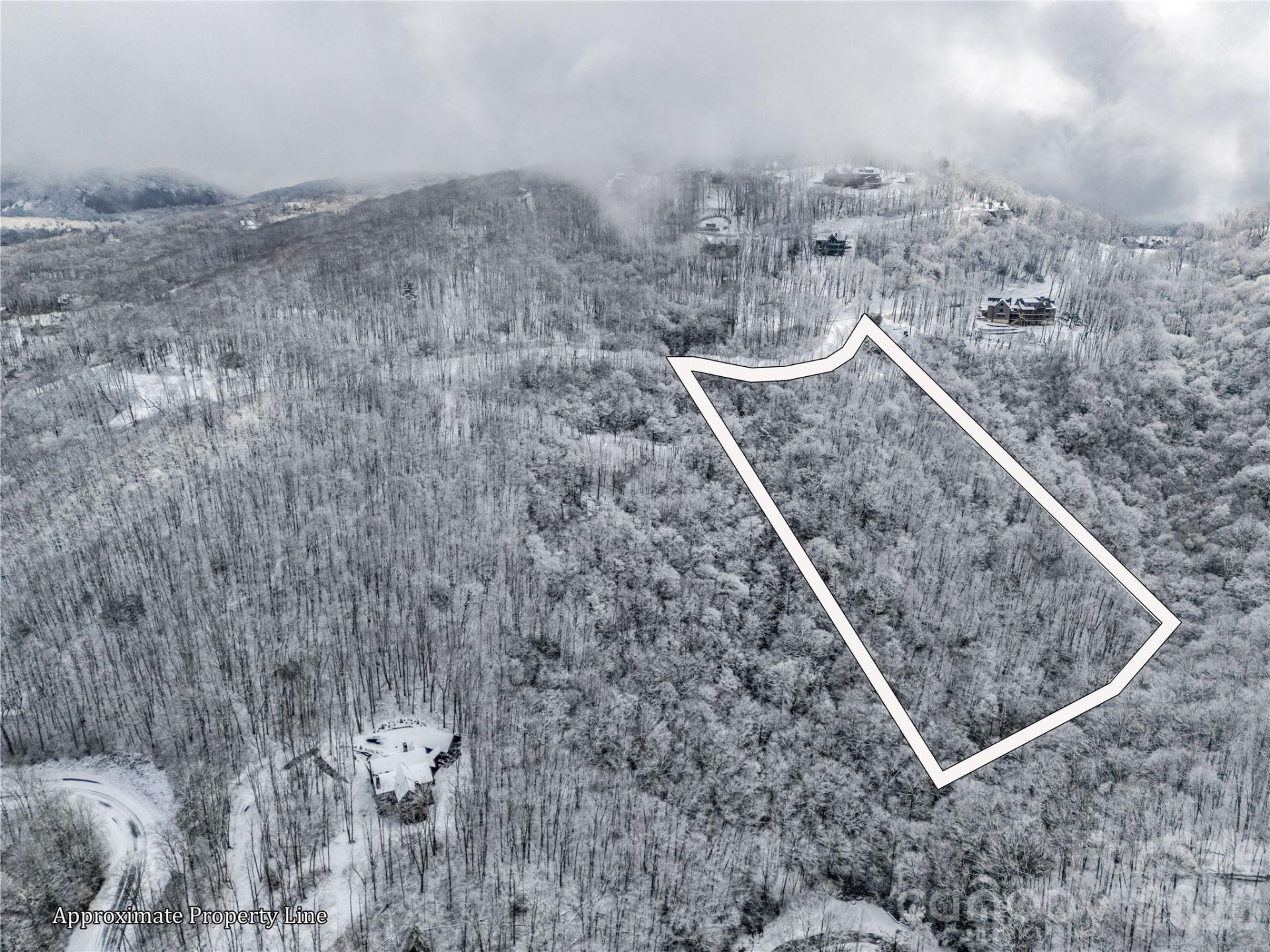 LT D54 Springwater Road #D54 - Photo 3