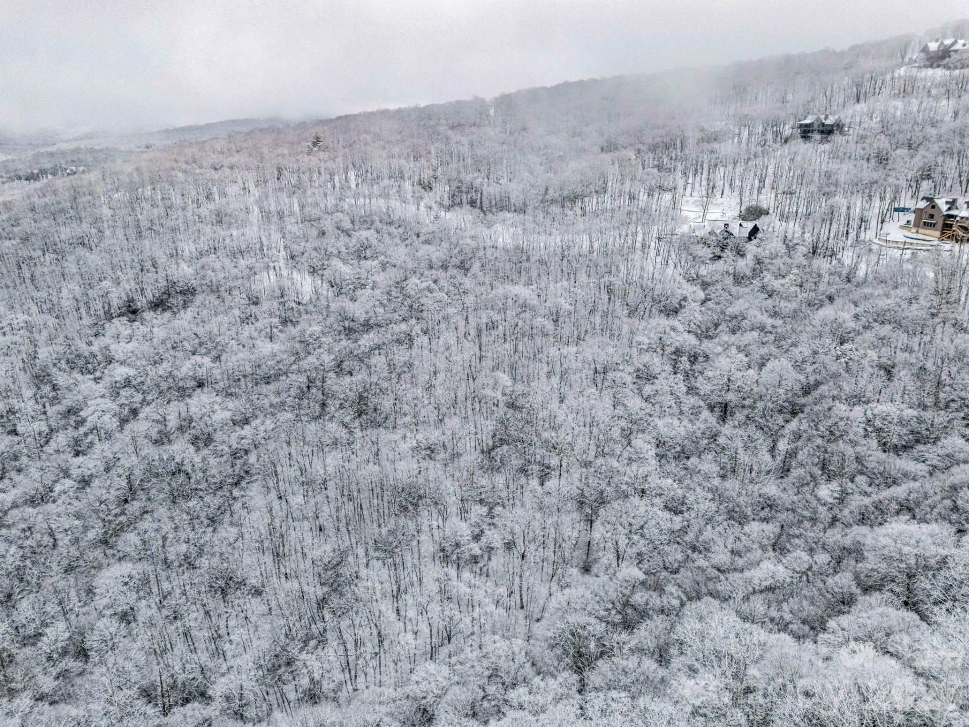 LT D54 Springwater Road #D54 - Photo 22