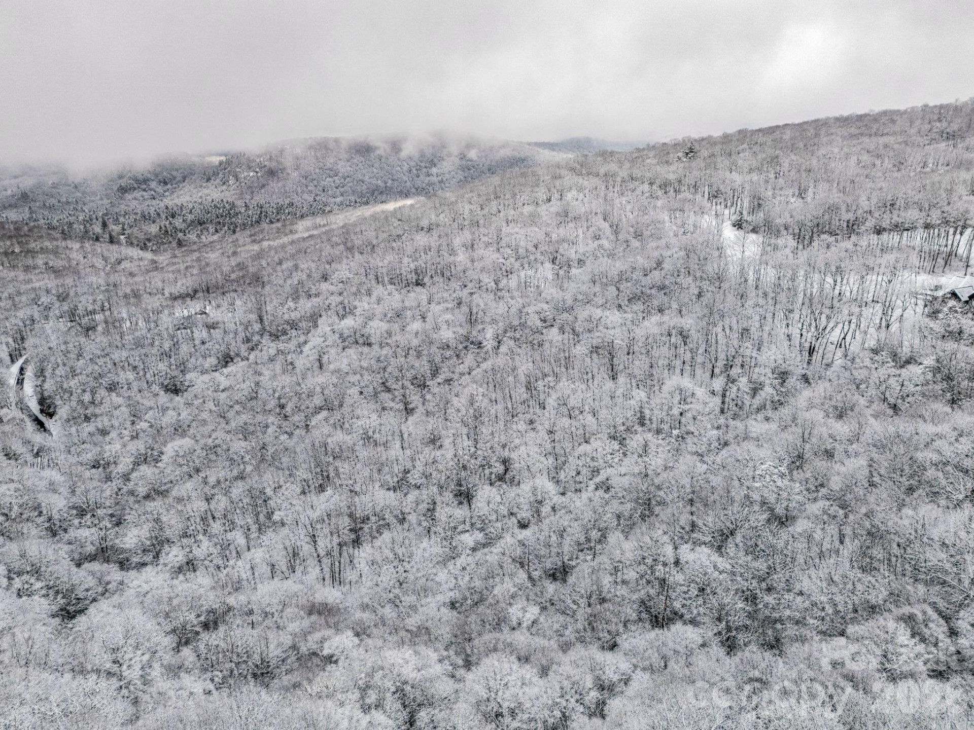 LT D54 Springwater Road #D54 - Photo 23