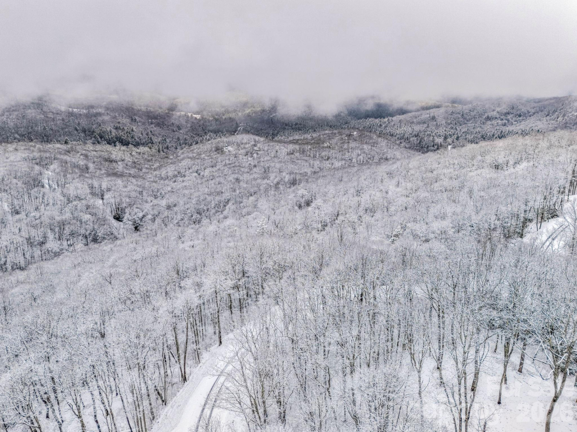 LT D54 Springwater Road #D54 - Photo 24