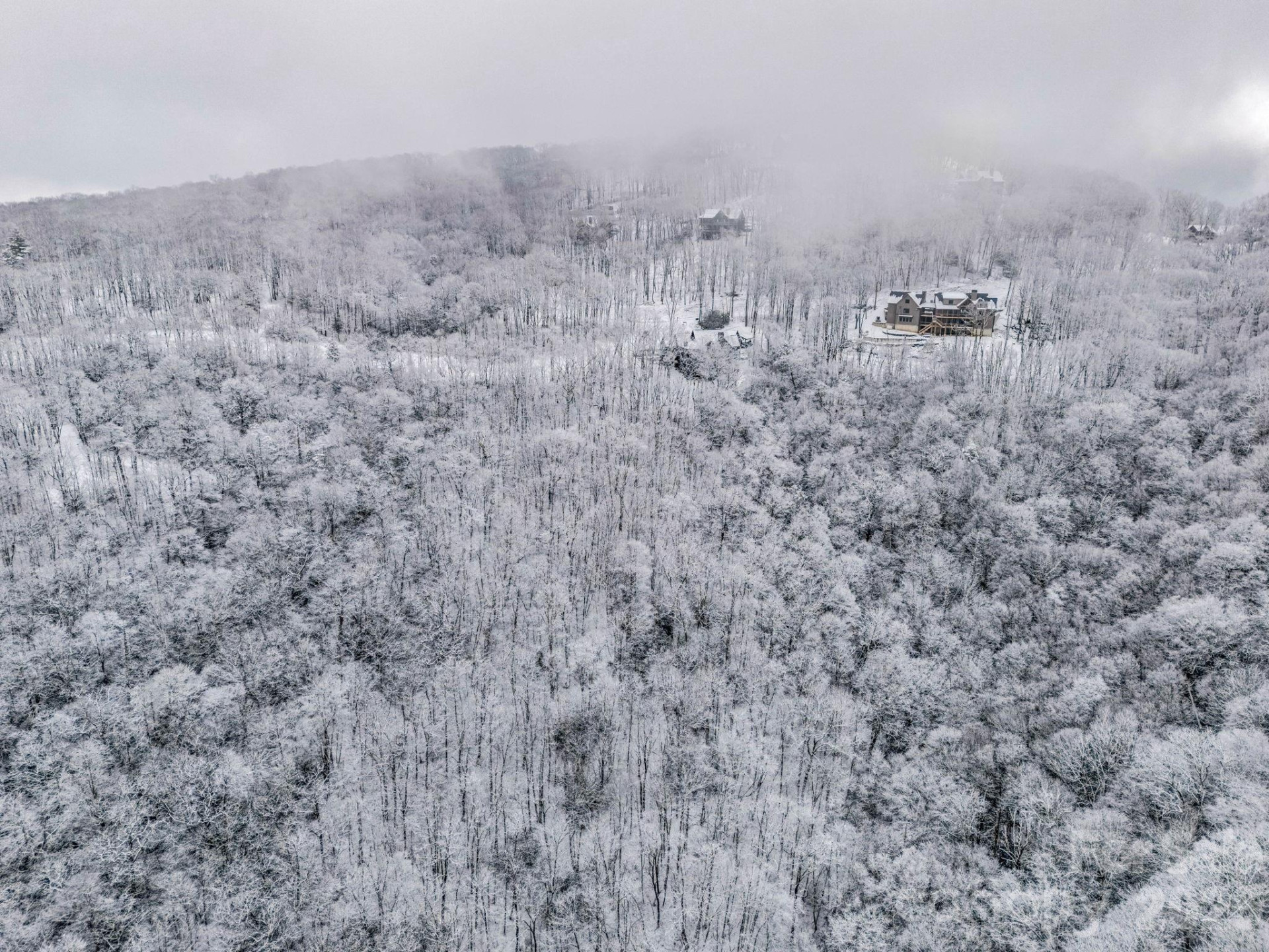 LT D54 Springwater Road #D54 - Photo 25