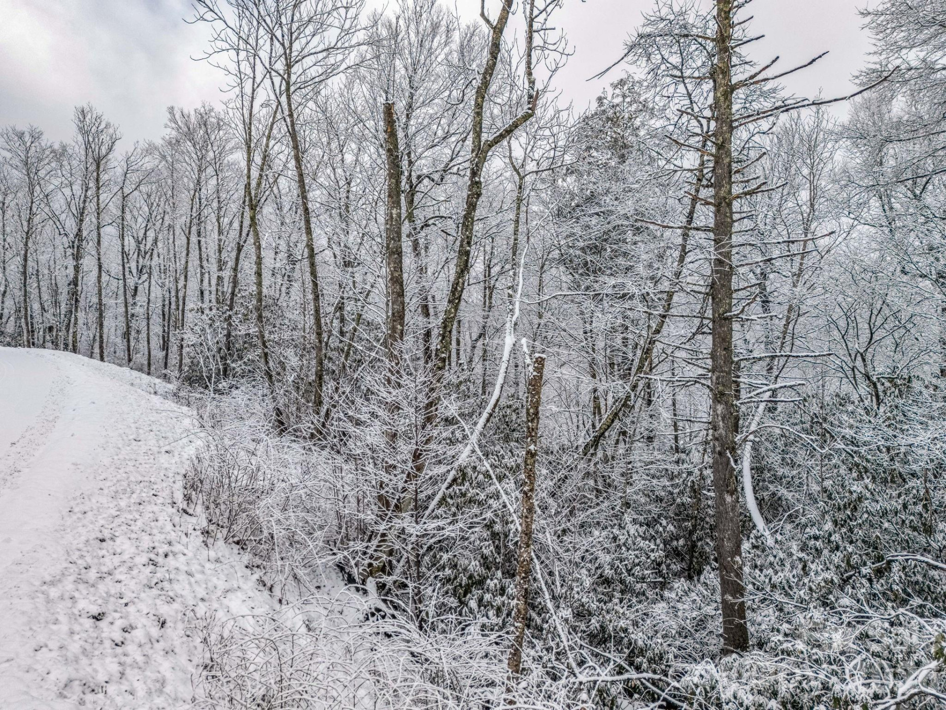 LT D54 Springwater Road #D54 - Photo 26