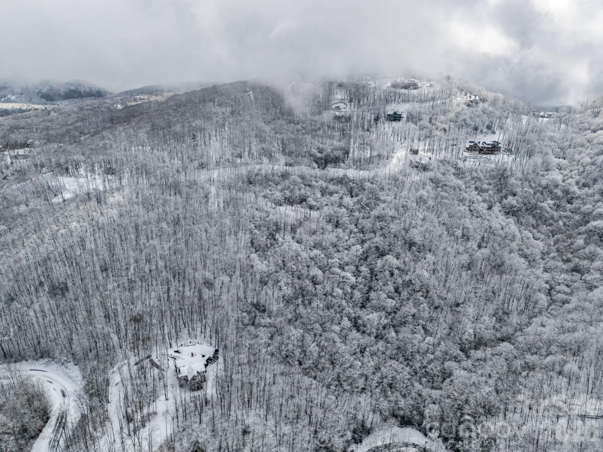 LT D54 Springwater Road #D54 - Photo 4