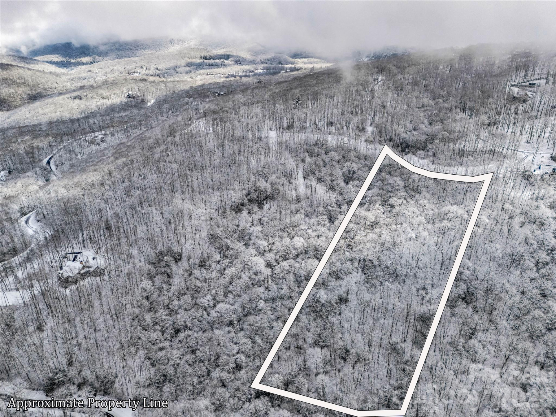 LT D54 Springwater Road #D54 - Photo 5