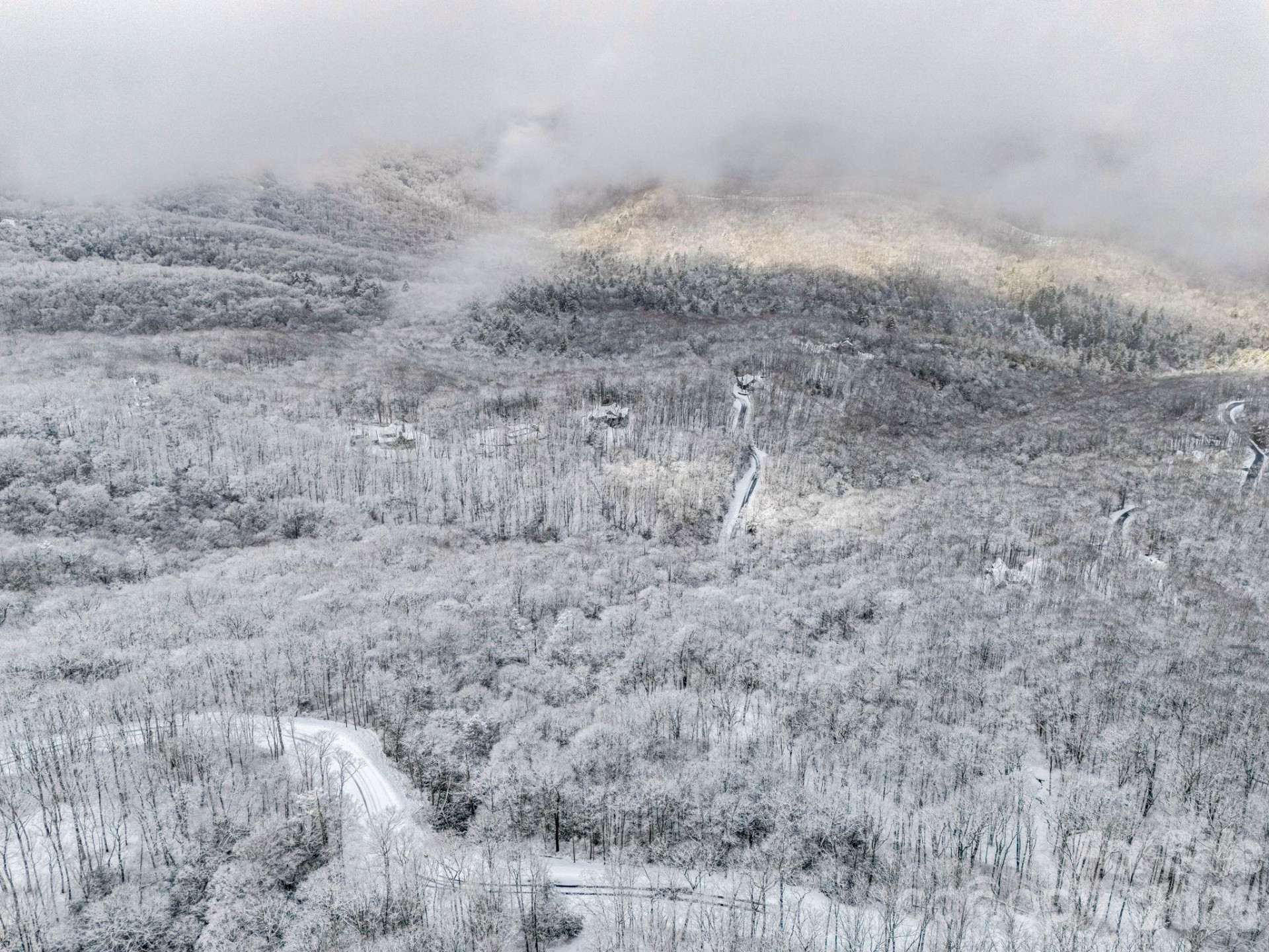 LT D54 Springwater Road #D54 - Photo 10