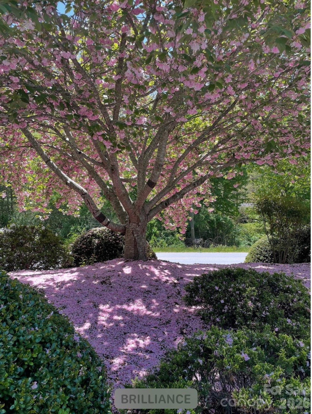 10 Aberdeen Drive - Photo 29