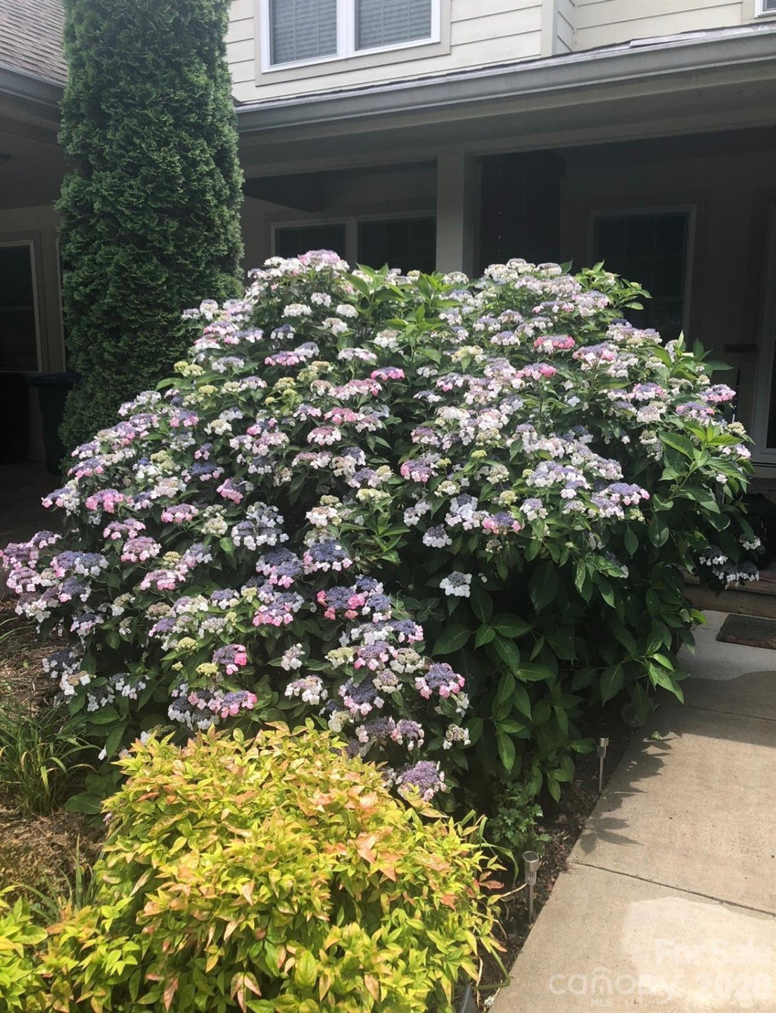 10 Aberdeen Drive - Photo 30