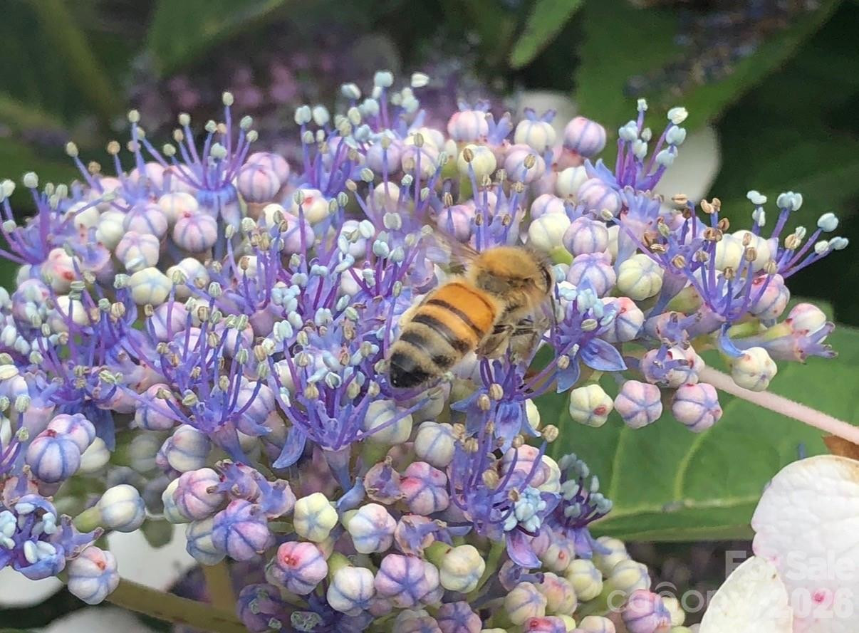 10 Aberdeen Drive - Photo 32