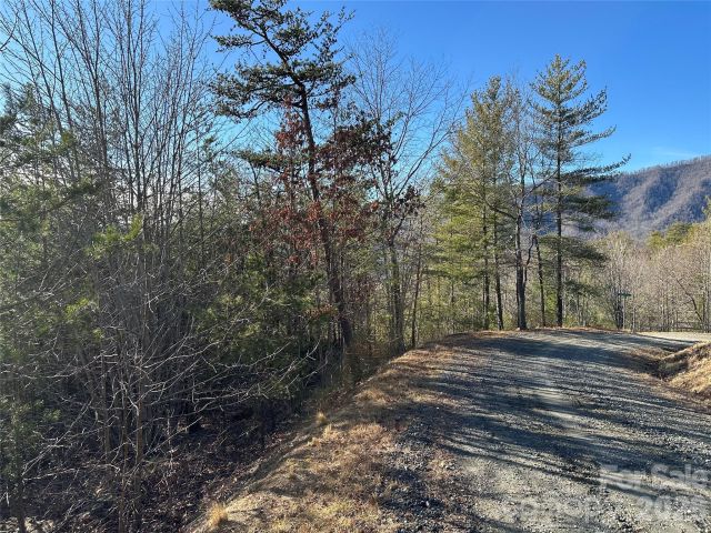 000 Fox Ridge Trail, Marion, NC, 28752