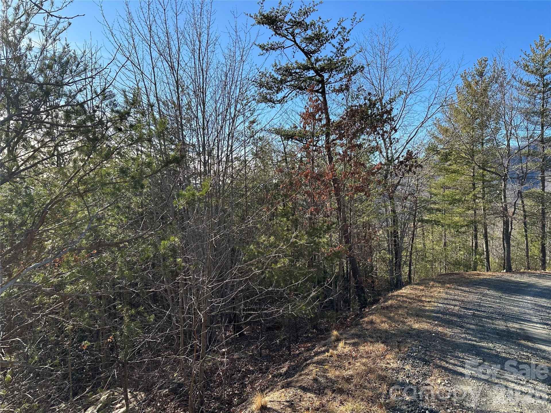 000 Fox Ridge Trail #57 - Photo 2