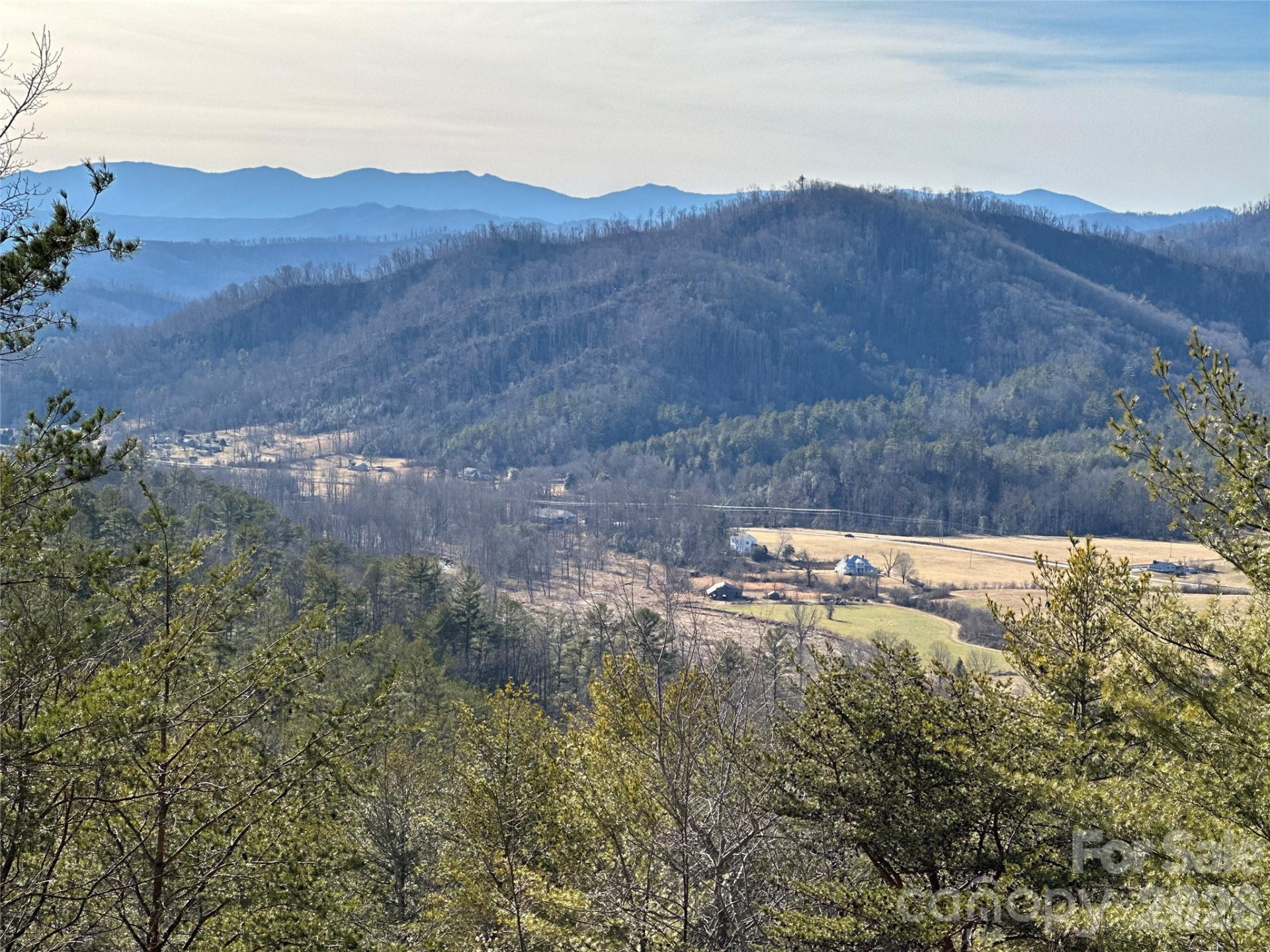 000 Fox Ridge Trail #57 - Photo 11