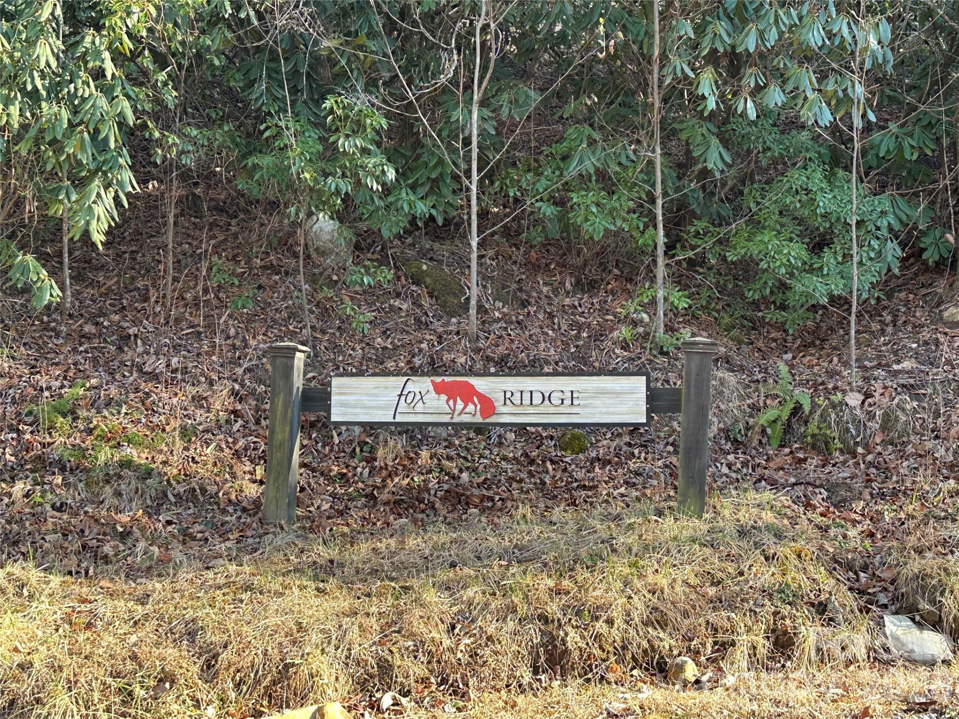 000 Fox Ridge Trail #57 - Photo 12