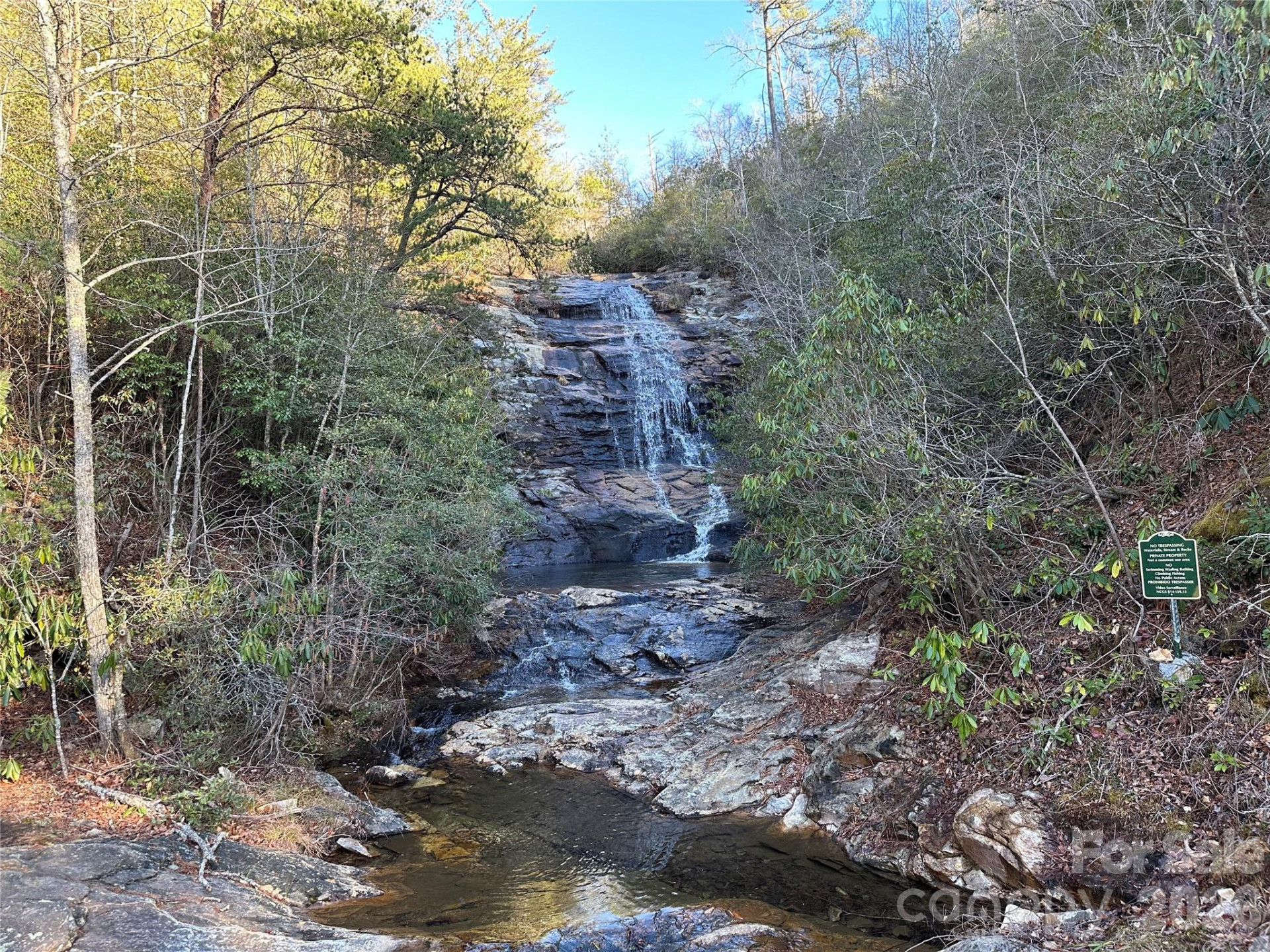 000 Fox Ridge Trail #57 - Photo 13