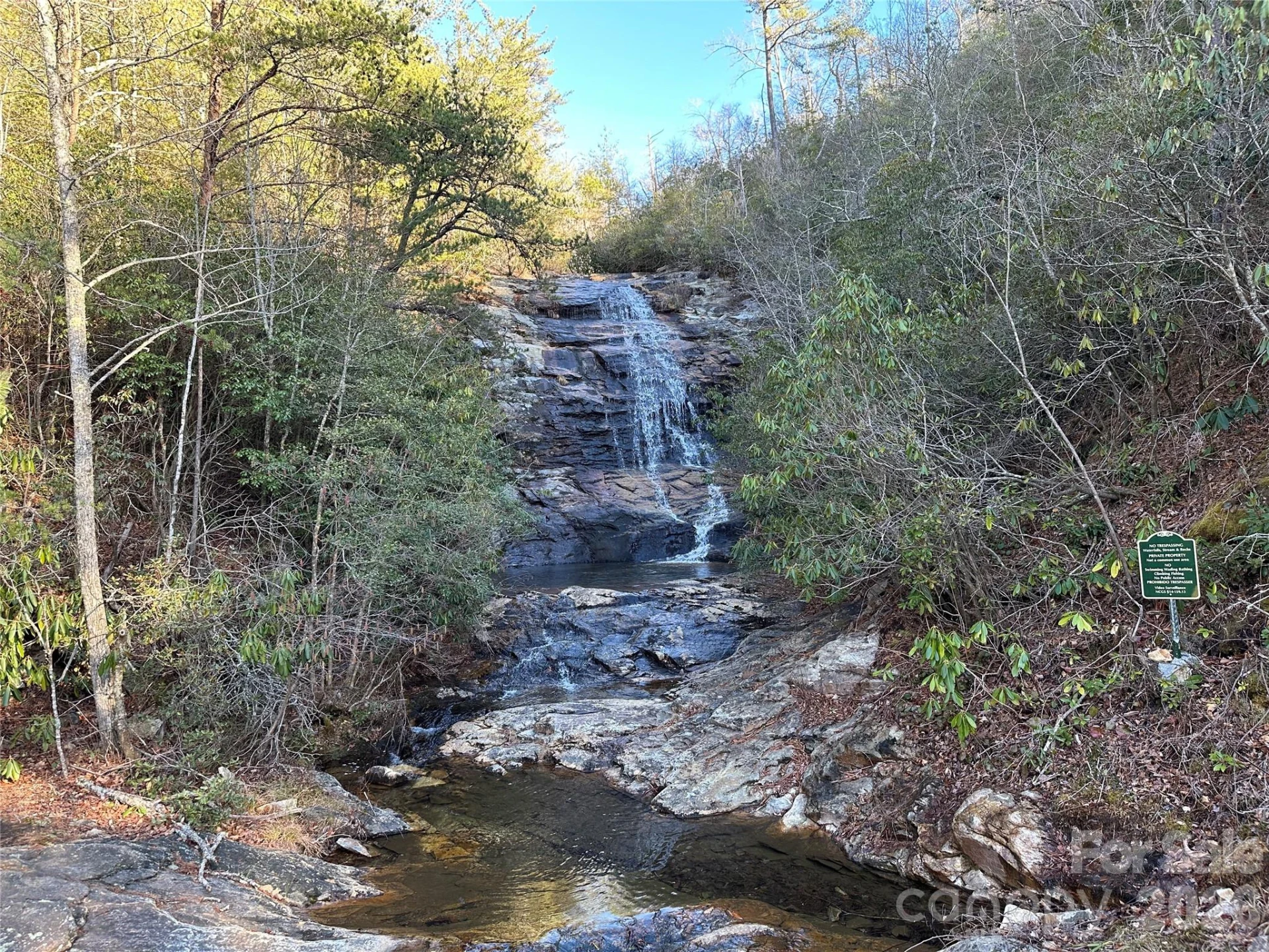 000 Fox Ridge Trail #57 - Photo 13