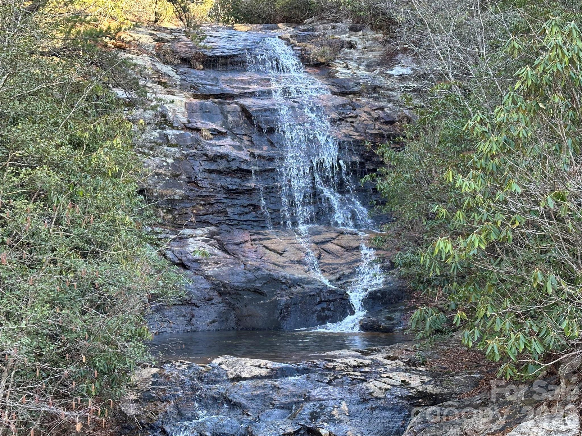 000 Fox Ridge Trail #57 - Photo 14