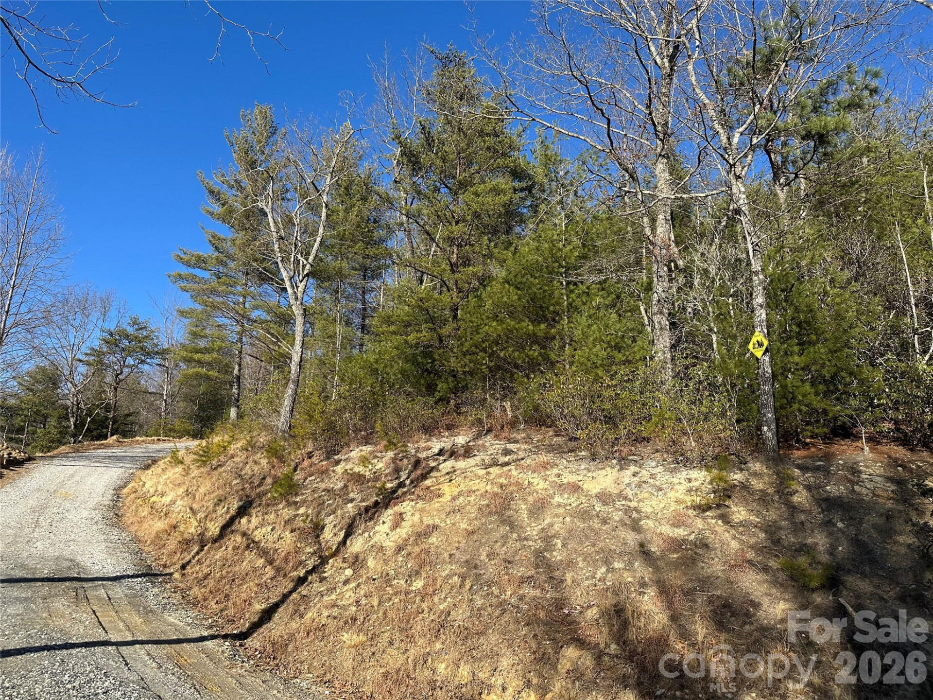 000 Fox Ridge Trail #57 - Photo 4