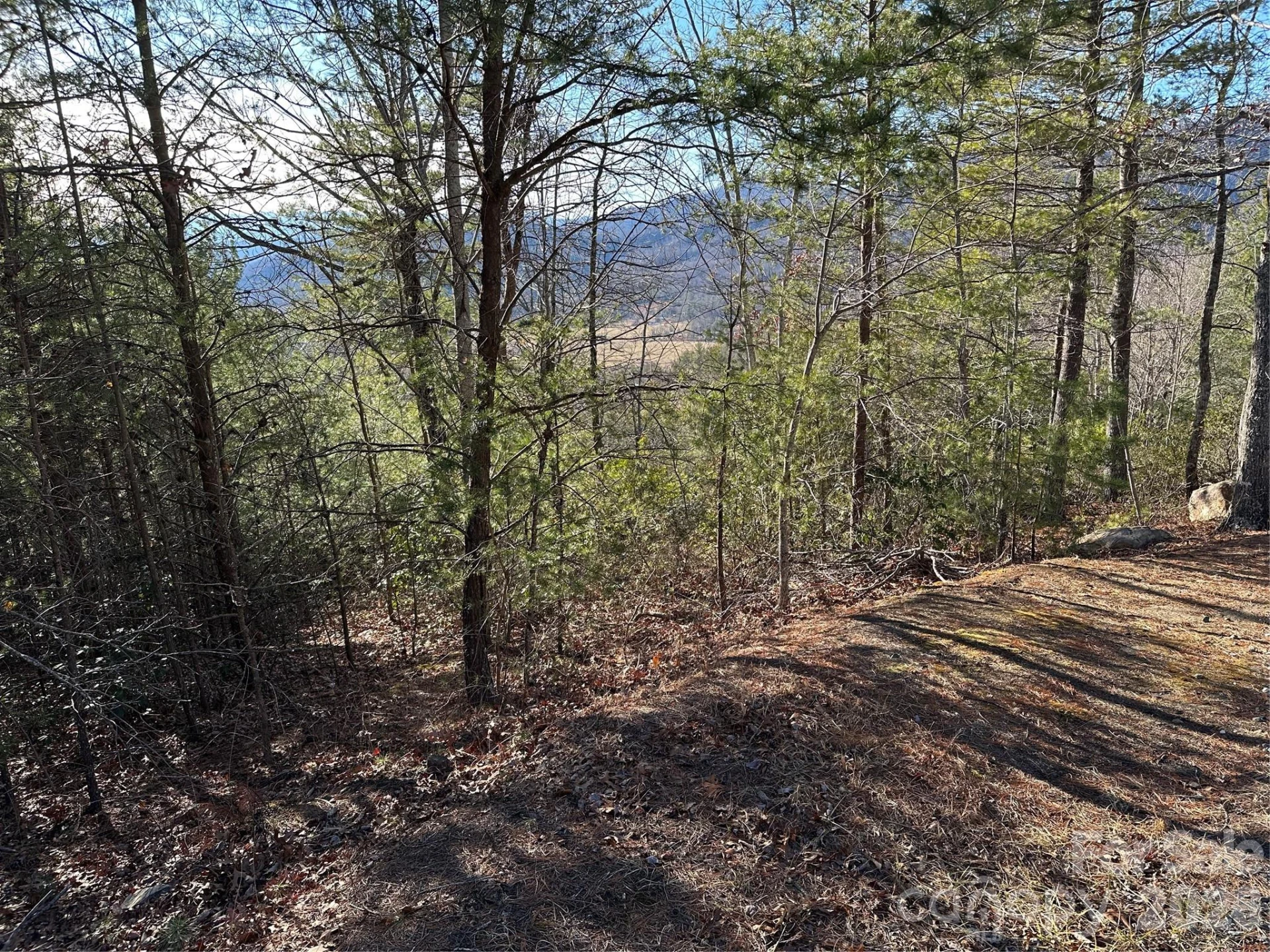 000 Fox Ridge Trail #57 - Photo 6