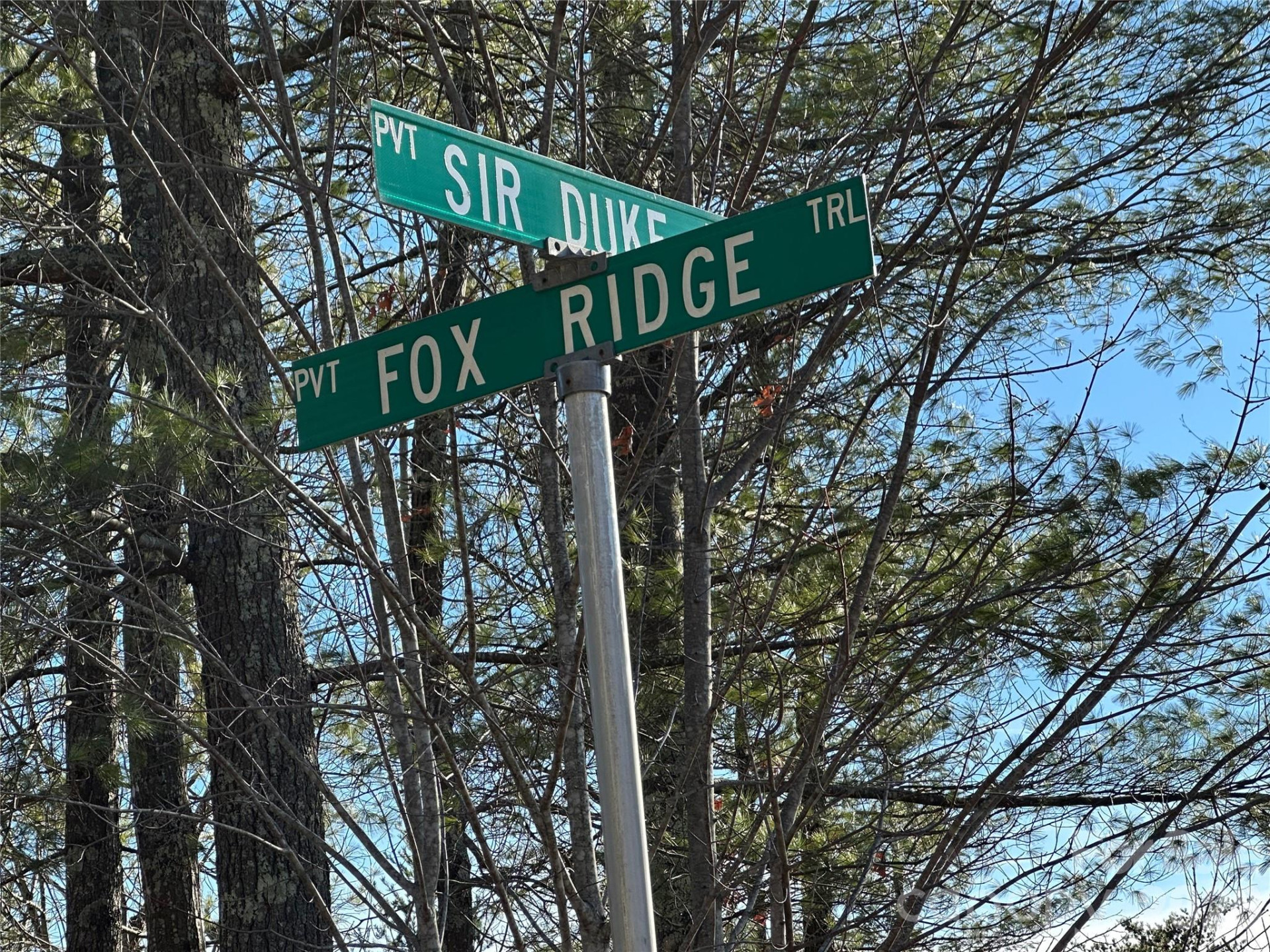 000 Fox Ridge Trail #57 - Photo 8