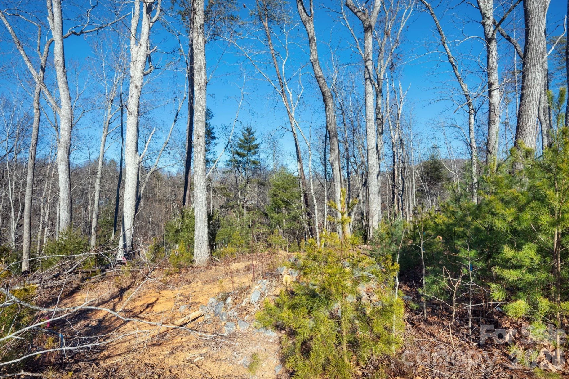 136 Riverbend Forest Drive #21