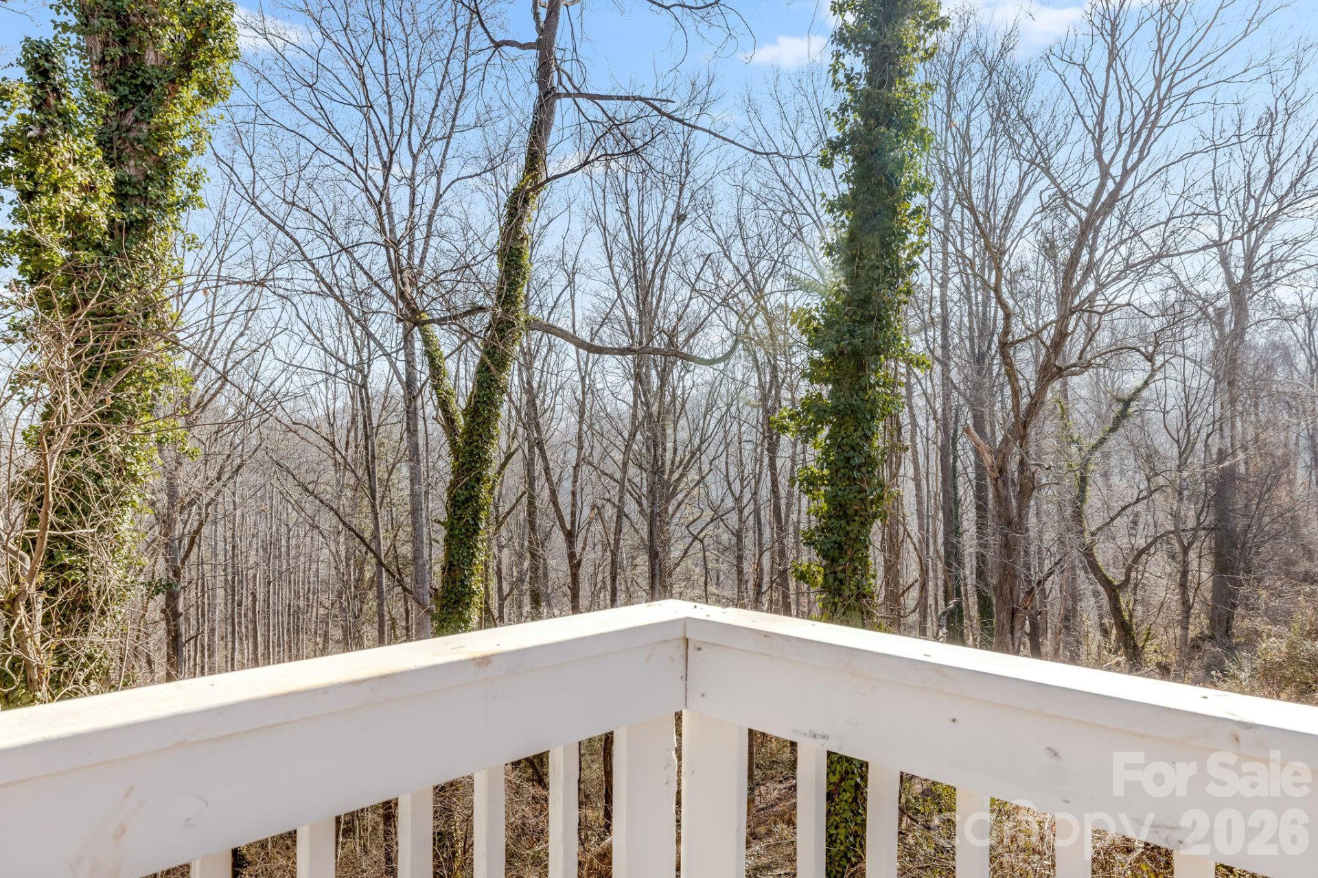 64 Pleasant Ridge Drive - Photo 32