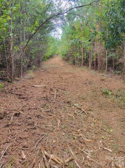 2715 Moose Lodge Street - Photo 15