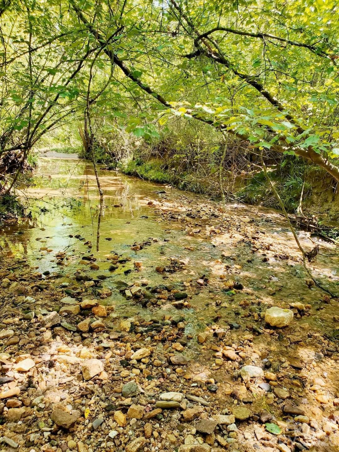 2715 Moose Lodge Street - Photo 16