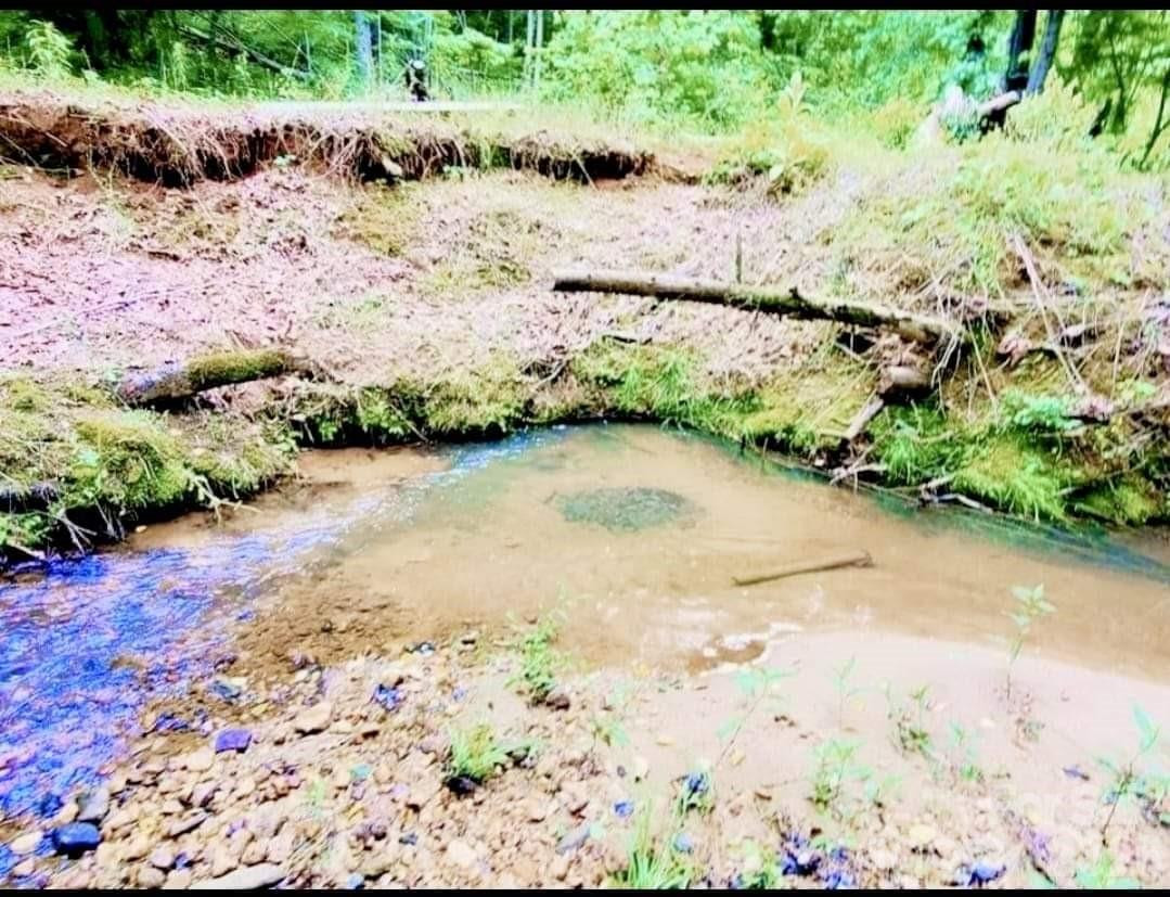 2715 Moose Lodge Street - Photo 17