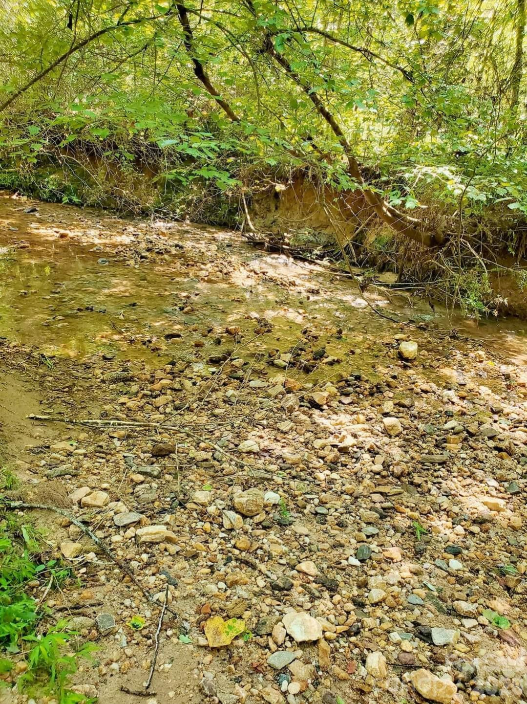 2715 Moose Lodge Street - Photo 18