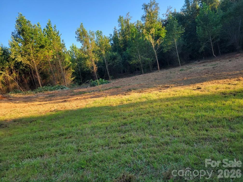 2715 Moose Lodge Street - Photo 6