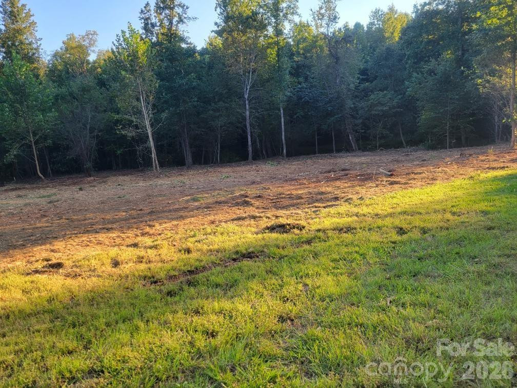 2715 Moose Lodge Street - Photo 7