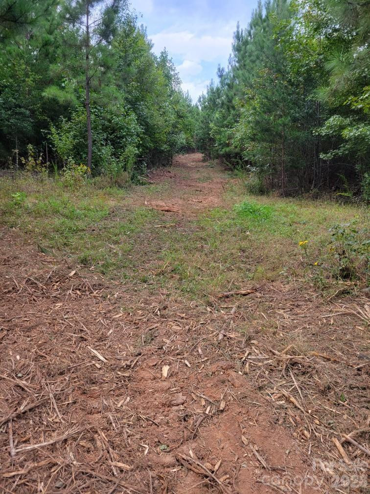 2715 Moose Lodge Street - Photo 8