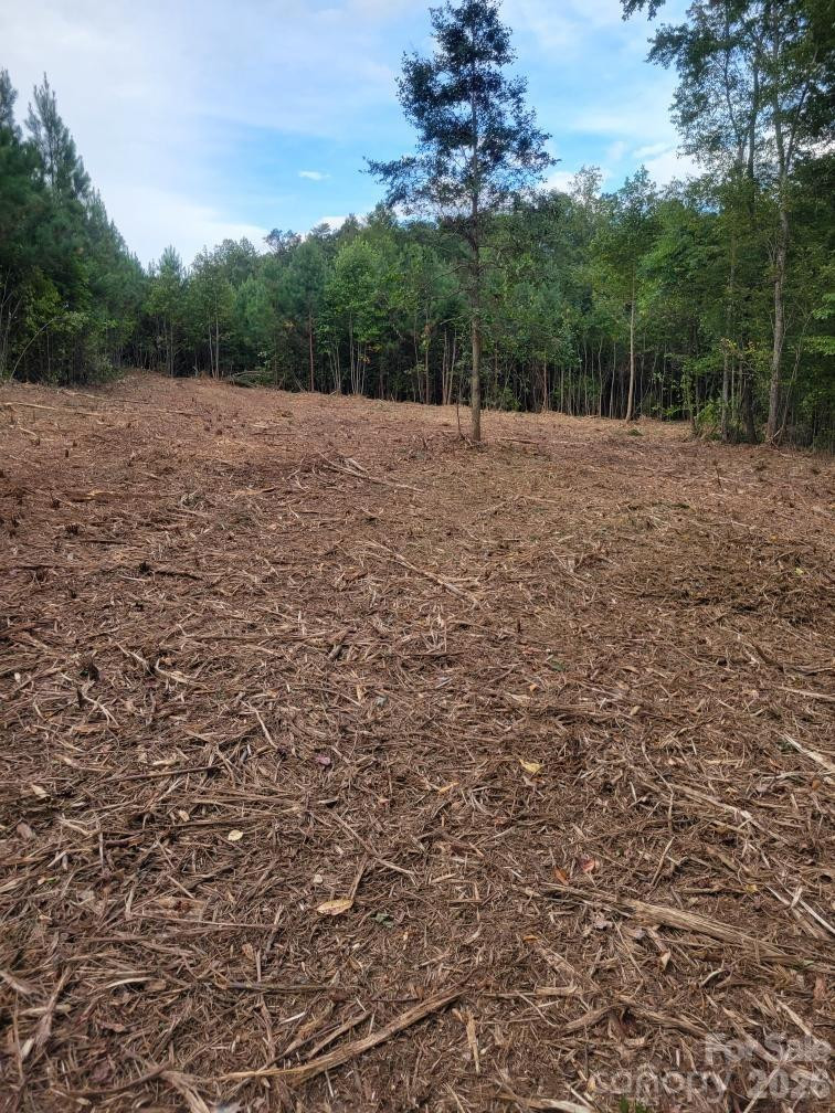 2715 Moose Lodge Street - Photo 9