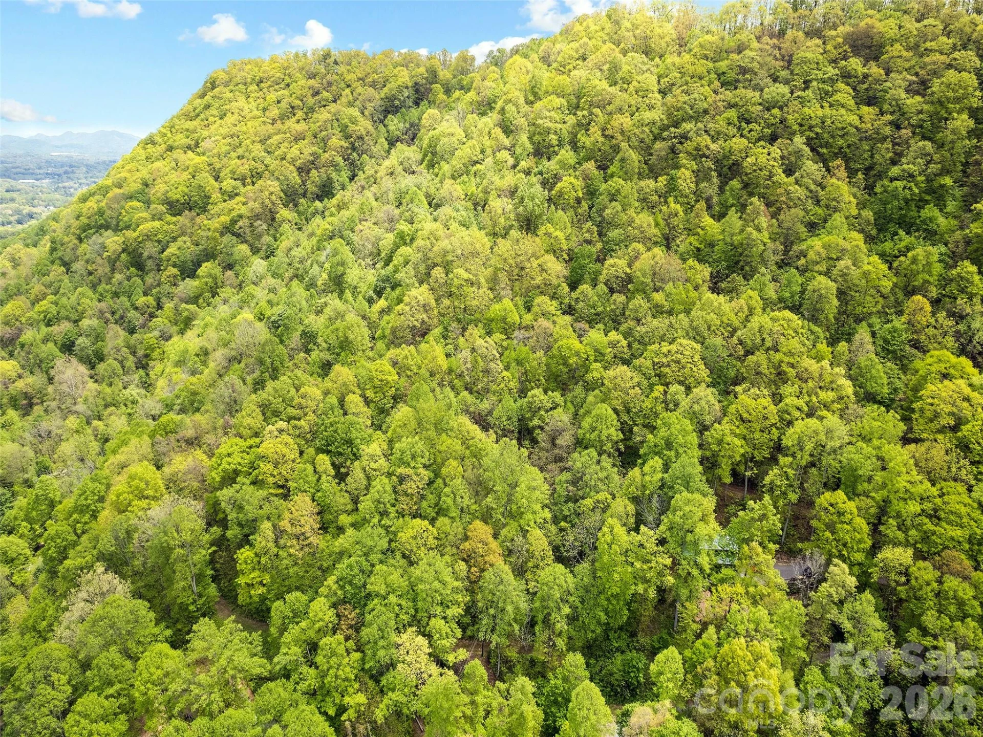 00 Locust Trail - Photo 2