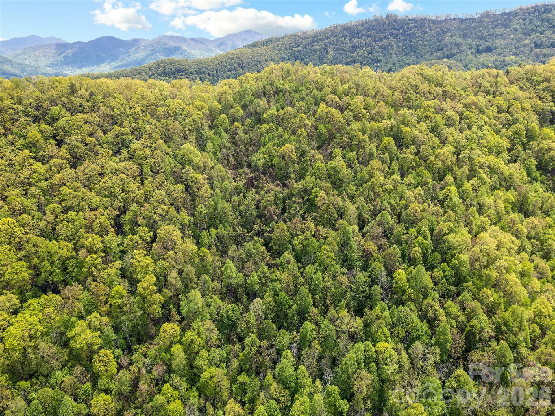 00 Locust Trail - Photo 11