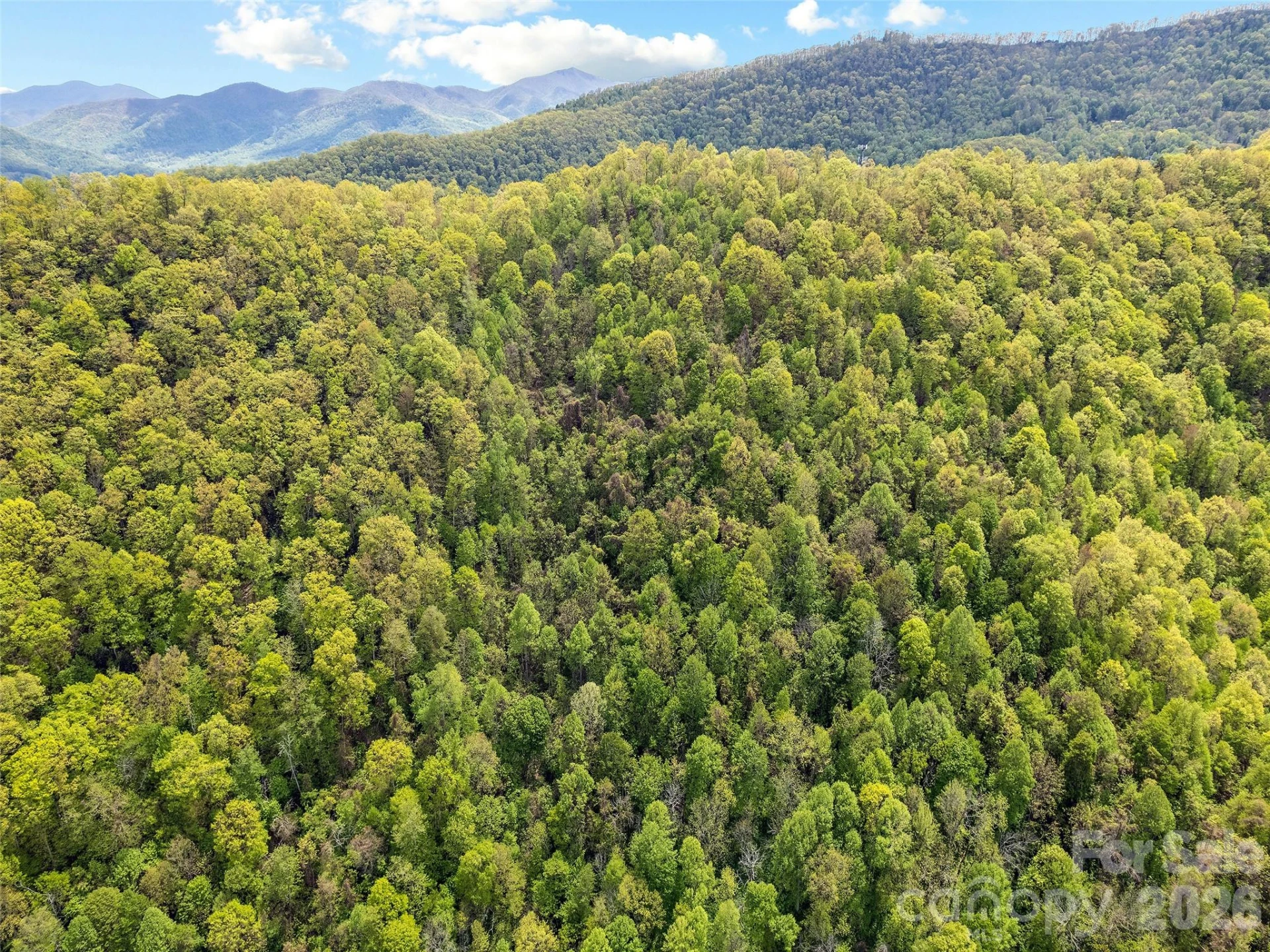 00 Locust Trail - Photo 11